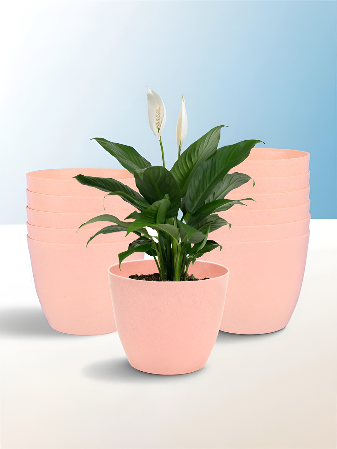 Kuber Industries Peach 12 Pieces  UV-Protected Planters