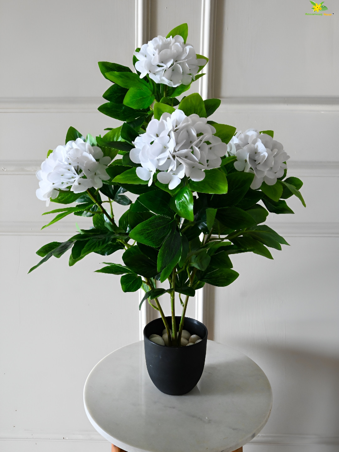 Blooming Floret Green & White Hoya Artificial Plant With Pot