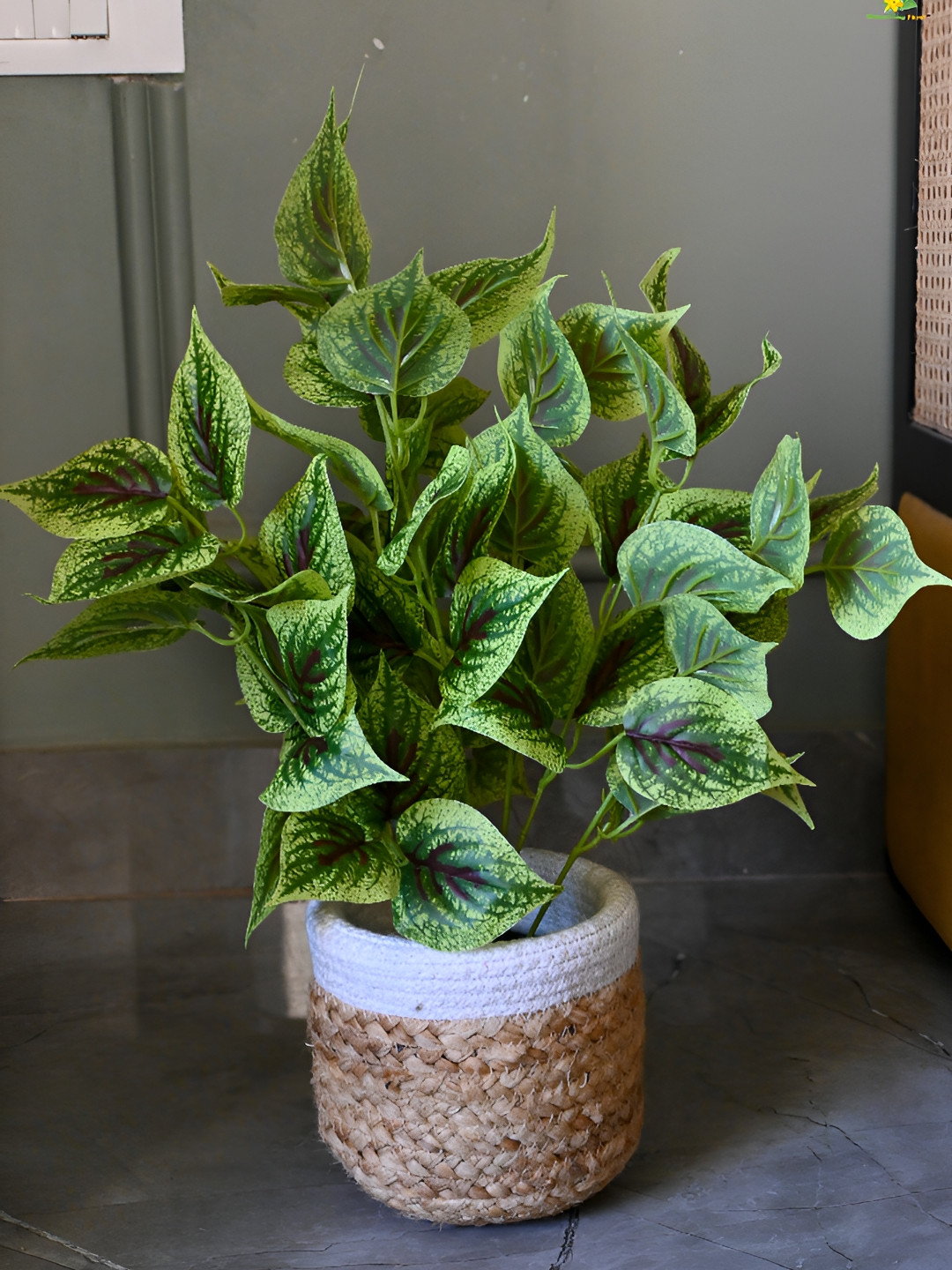 Blooming Floret Green Dragon Tree Artificial Plant With Pot