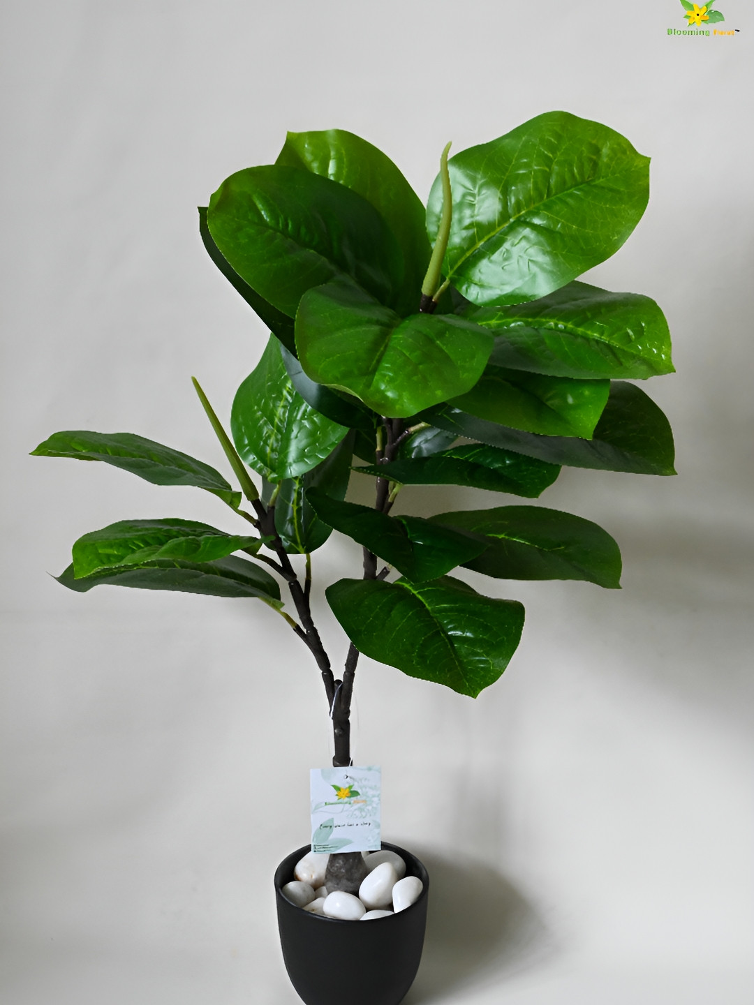 Blooming Floret Green Aloe Vera Artificial Plant With Pot