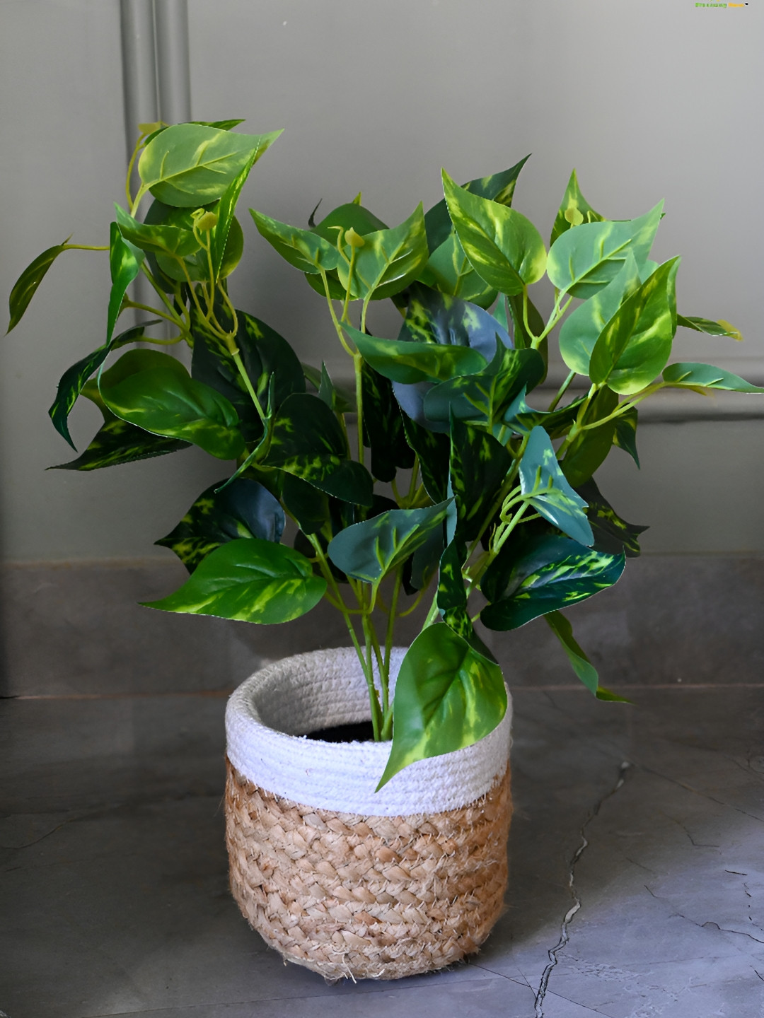 Blooming Floret Green & Yellow Artificial Plant With Pot