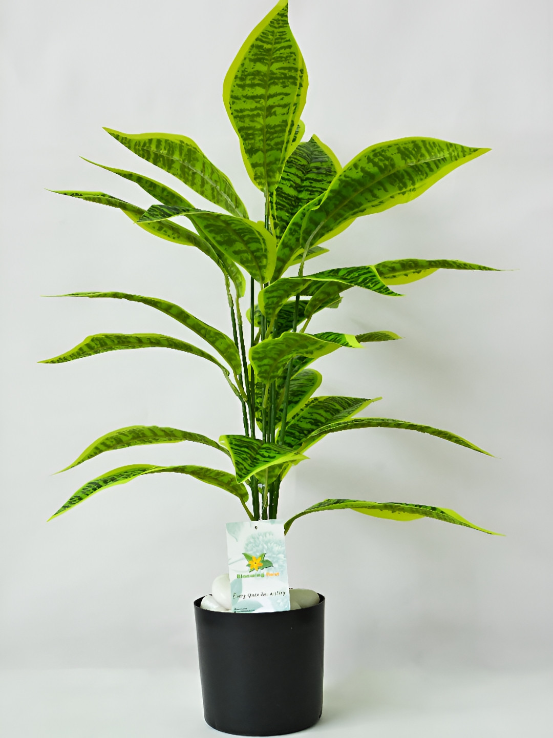 Blooming Floret Green & Yellow Snake  Artificial Plant With Pot