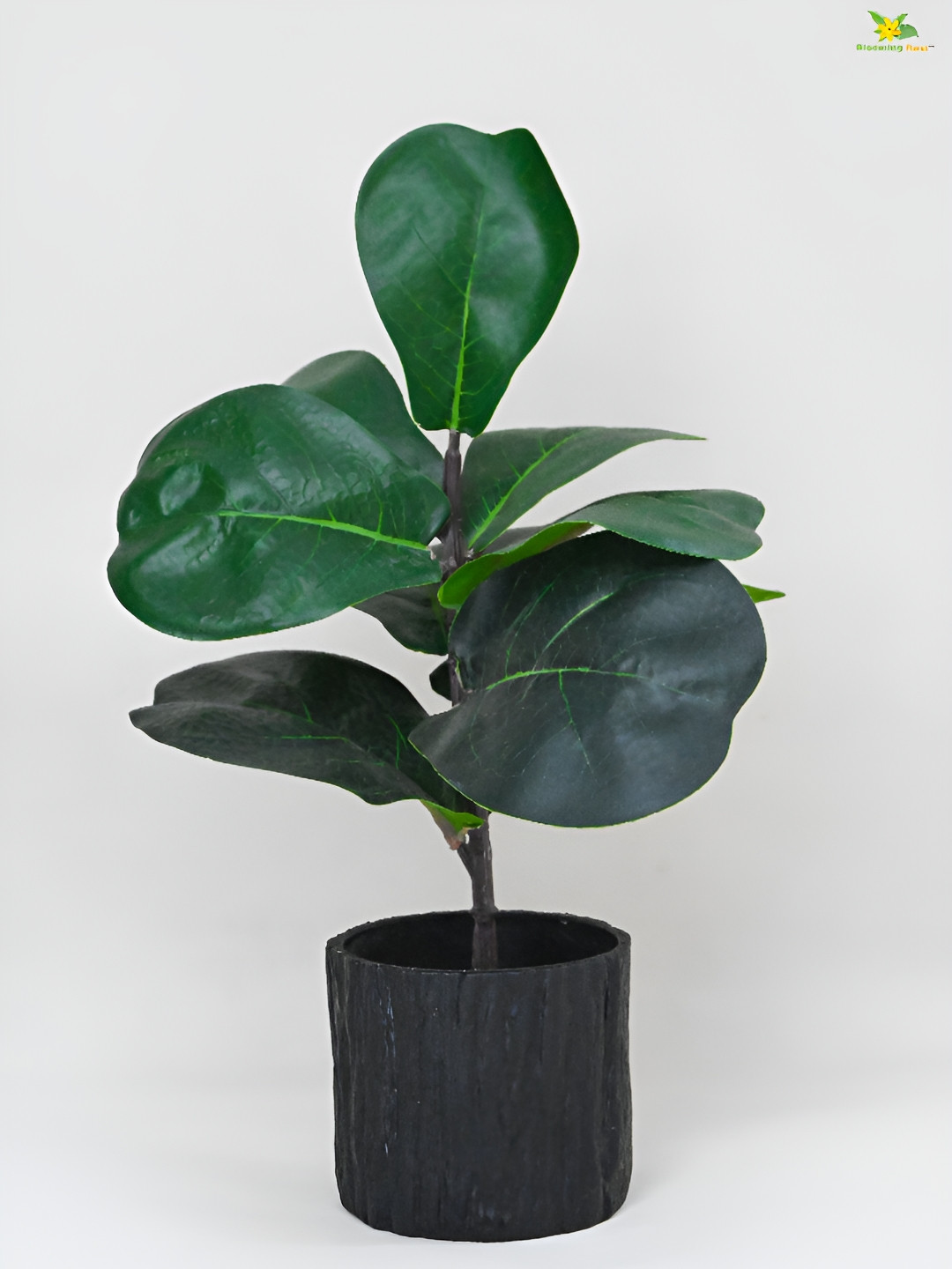 Blooming Floret Green Fiddle Floret Artificial Plant With Pot