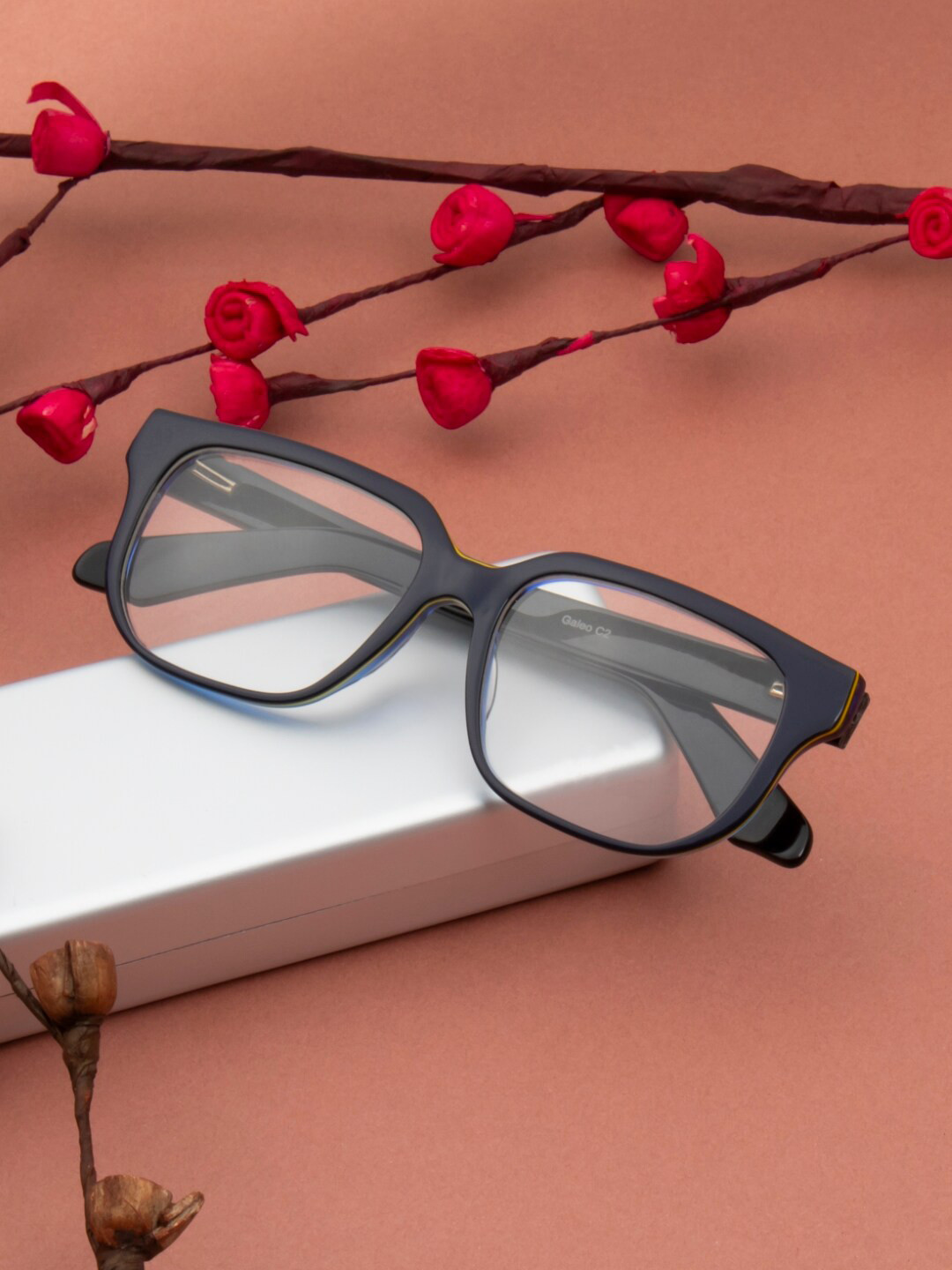 Ted Smith Unisex 100% Acetate Full Rim Rectangle Frames GALEO_C2