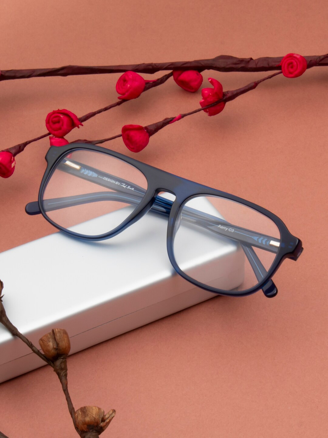 Ted Smith Unisex 100% Acetate Full Rim Wayfarer Frames-AERRY_C3