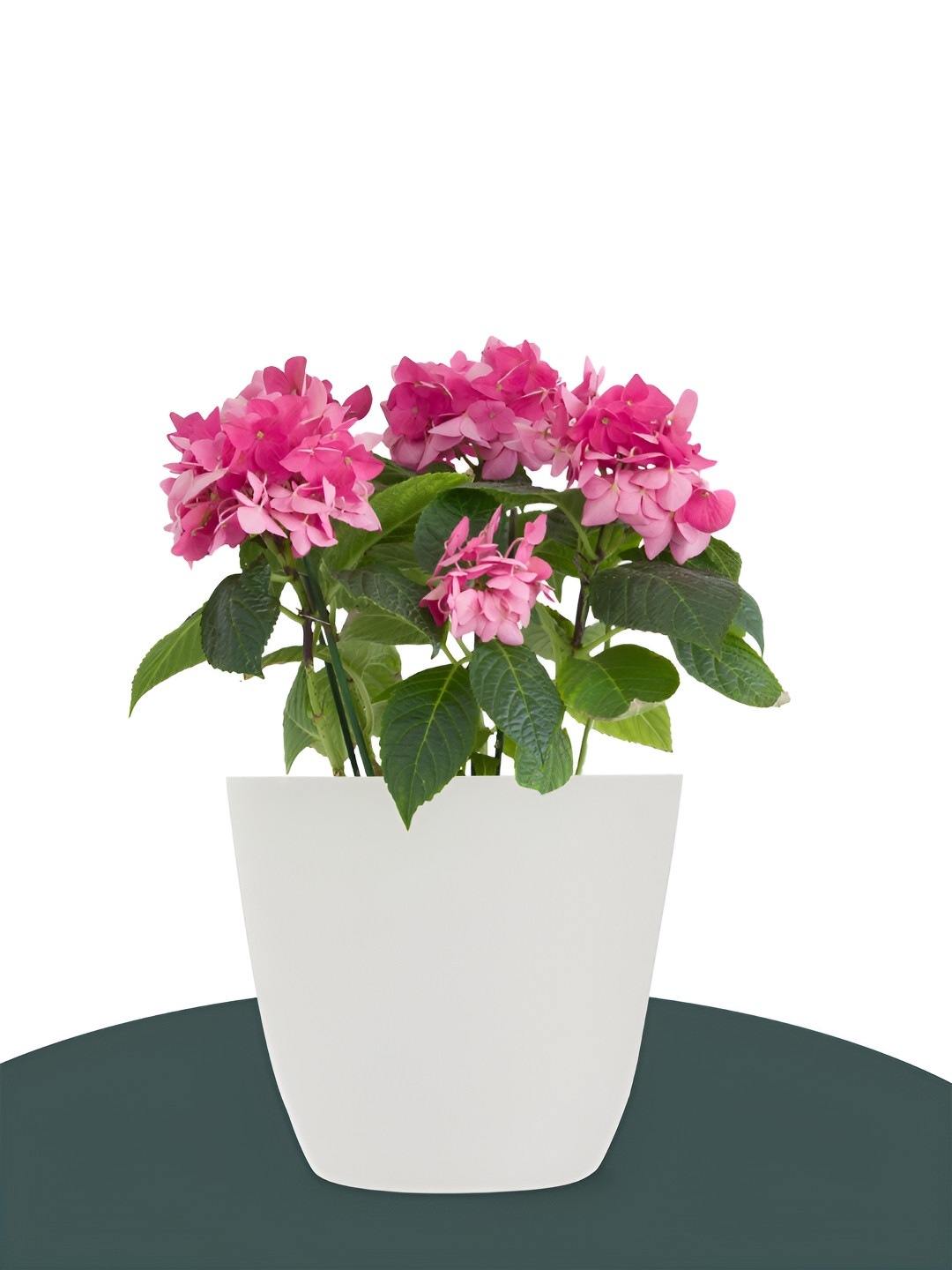 Kuber Industries White 6 Pieces Flower Pot Planter 5 Inch