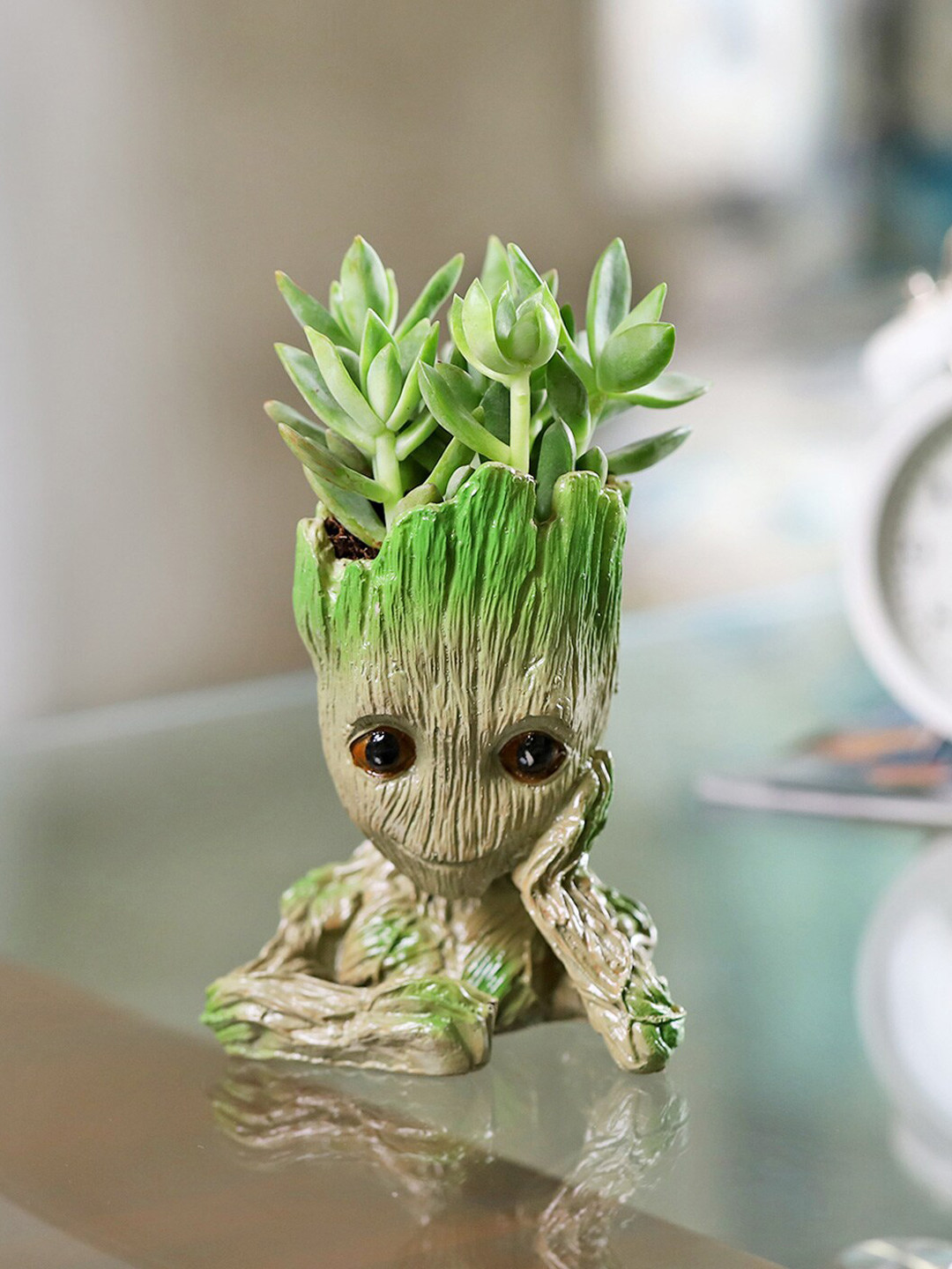 IGP Green Golden Sedum Succulent