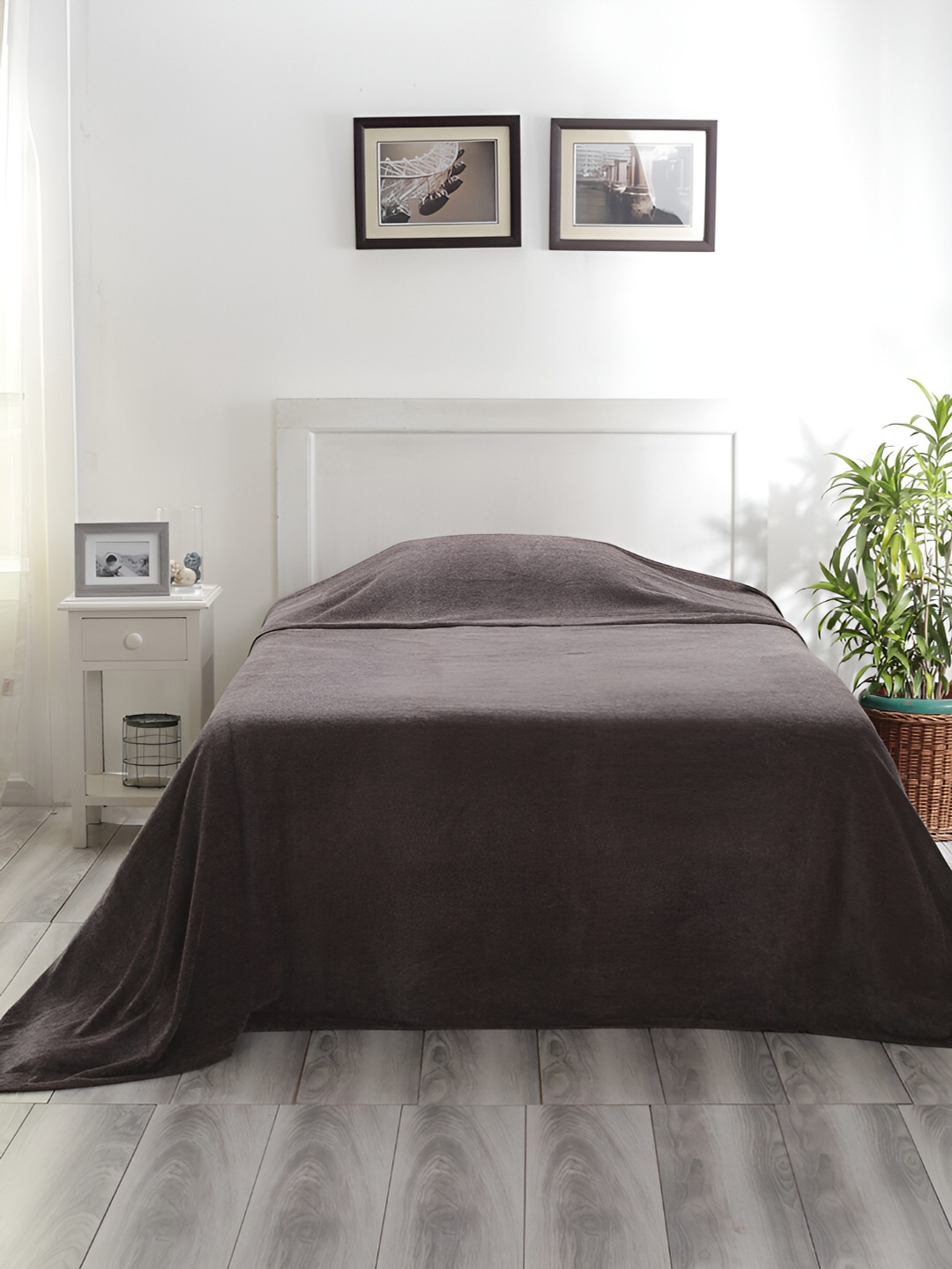 MASPAR Colorart Charlotte Steple Grey 120 TC Single Bed Cover