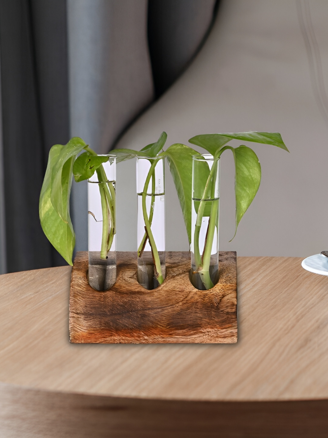 appeasy Brown & Transparent 3-Pcs Test Tube Planters With Wooden Stand