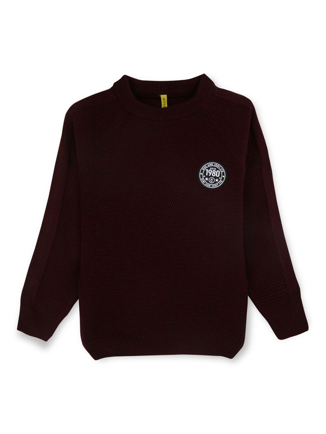 Gini and Jony Boys Brand Logo Self Design Acrylic Pullover