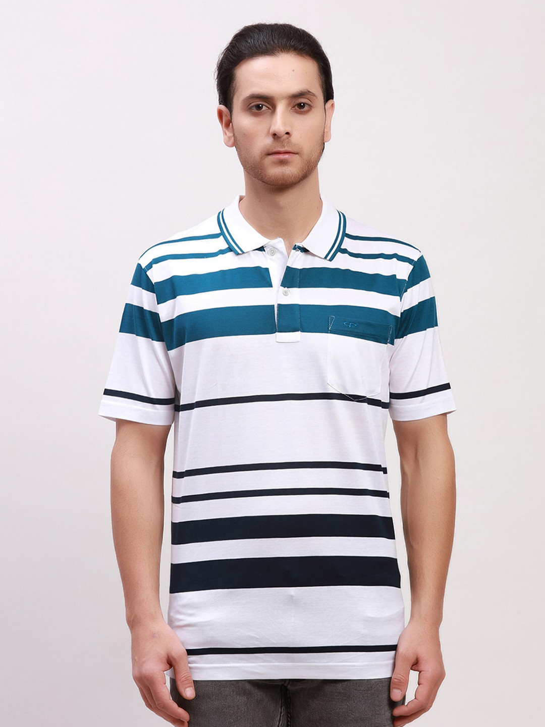 ColorPlus Classic Fit Horizontal Striped Polo Collar Cotton Casual T-shirt