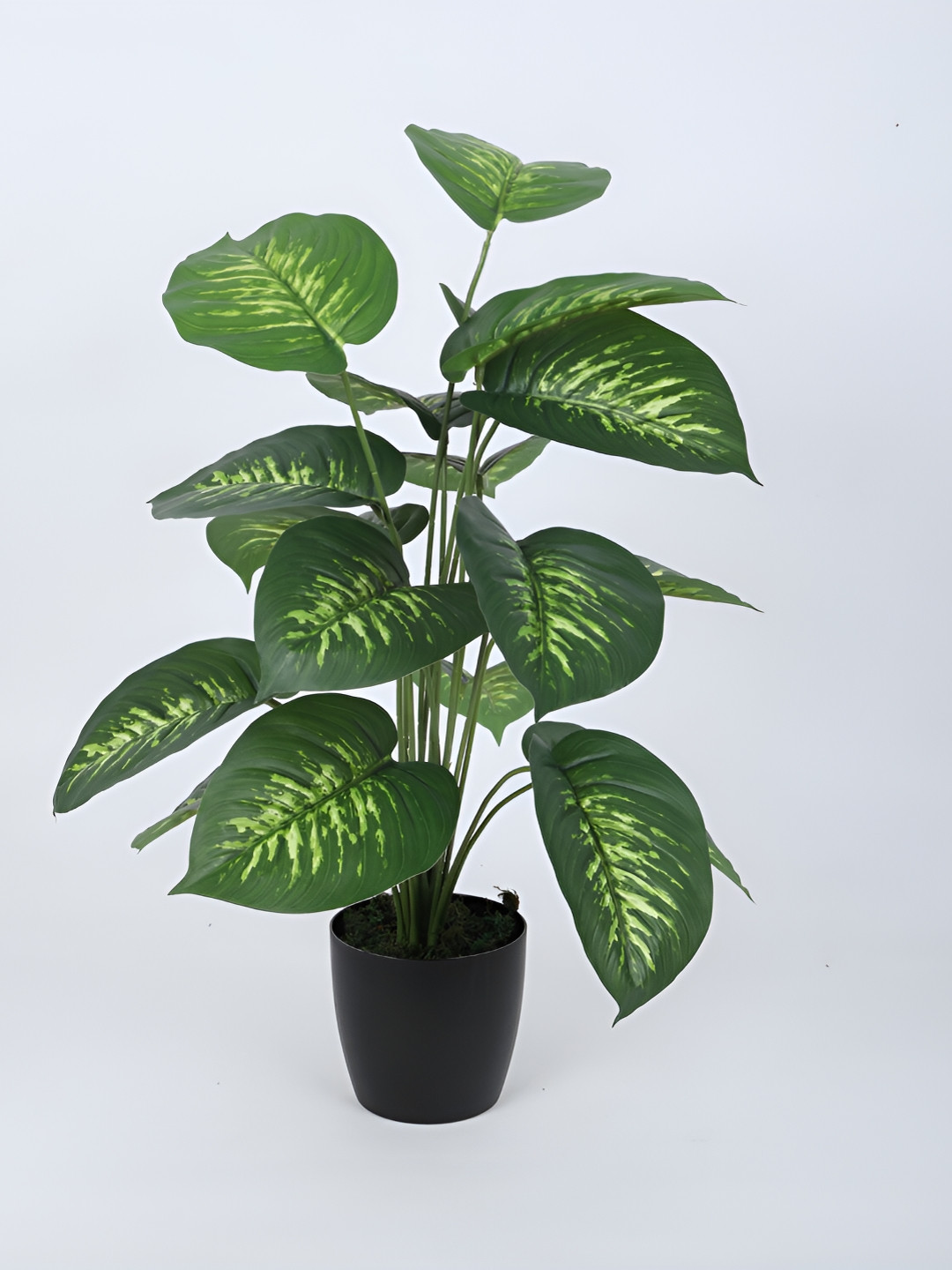 Home Bloom Green & Black Palm Artificial Plant With Pot