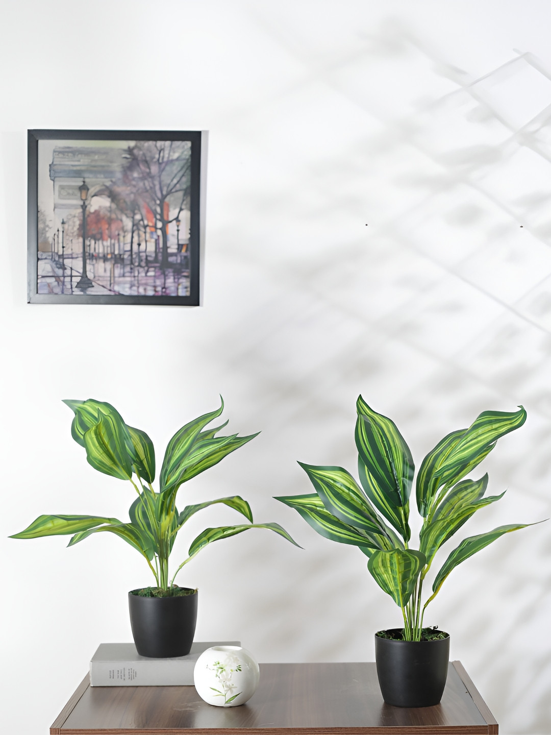 Home Bloom Green & Black 2 Pieces Dracaena Artificial Plants With Pots