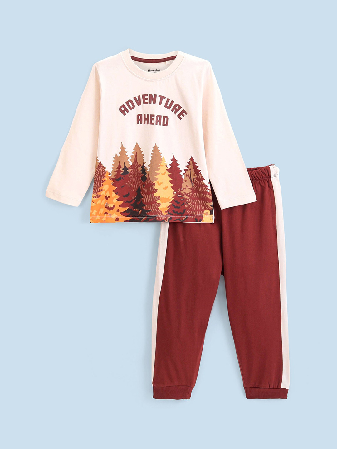 Honeyhap Boys Graphic Printed Pure Cotton Bio Finish Night Suit