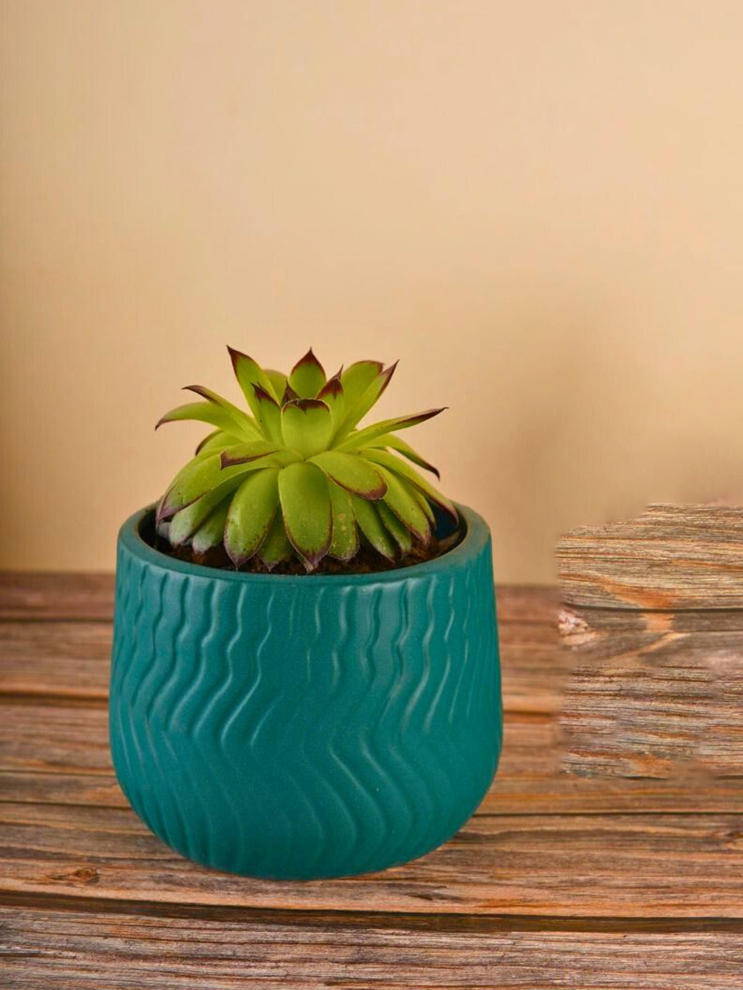 WEAVING HOMES Teal Green Textured Ceramic Planters