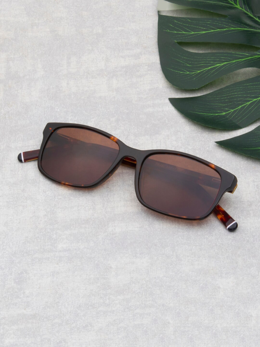 Ted Smith Unisex Wayfarer Sunglasses with Polarised Lens CROSBIE_C3