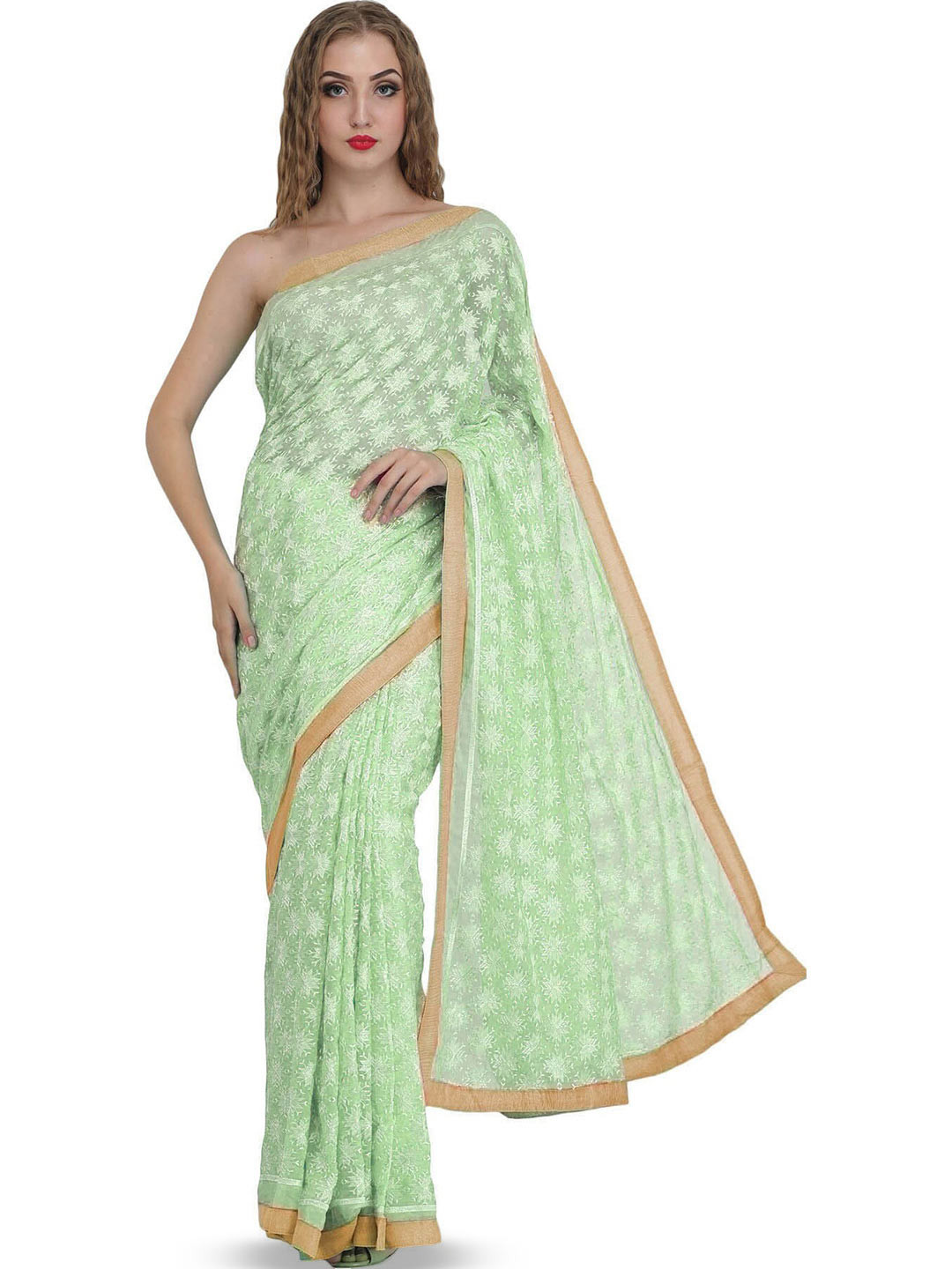 Exotic India Pastel Green Chiffon Saree with Phulkari Embroidery in Self and Golden Border