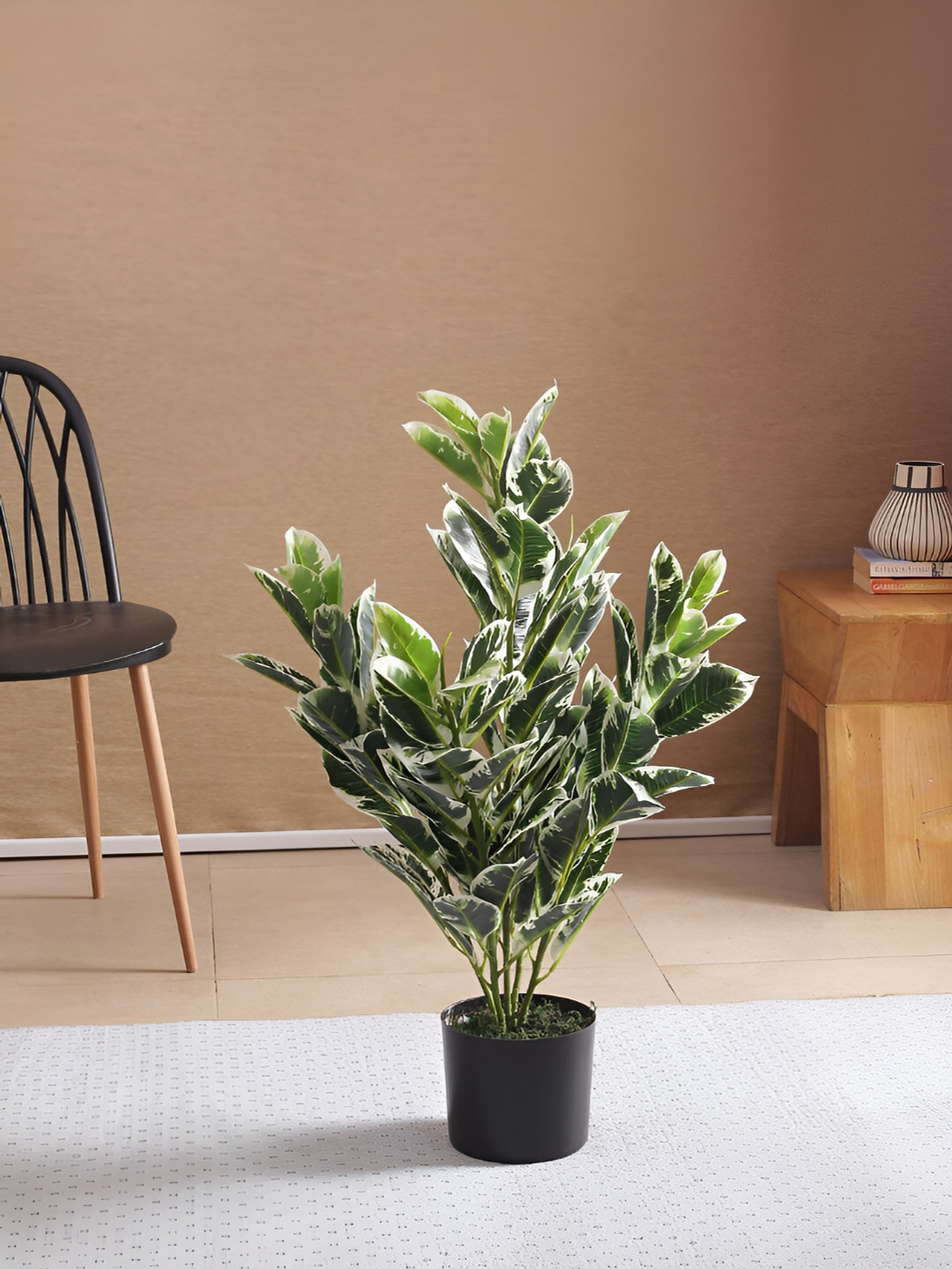 Home Bloom Green & Black Zebra Artificial Plant With Pot