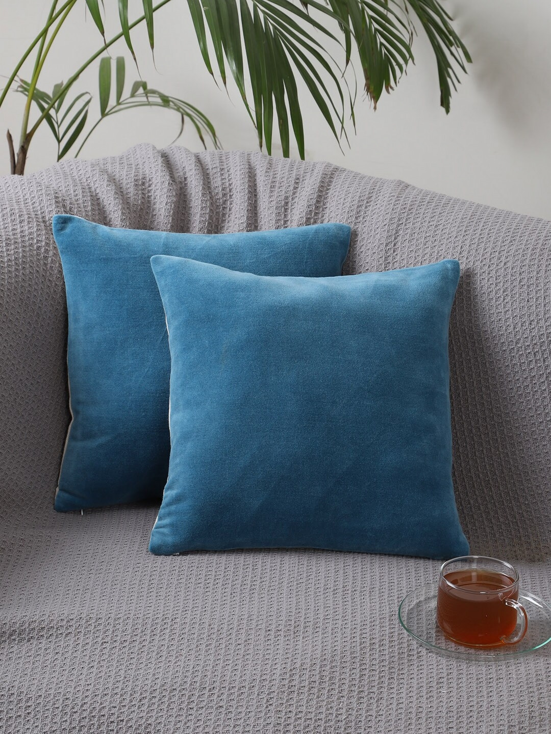 Jamio Firati Blue & White 2 Pieces Velvet Square Cushion Covers