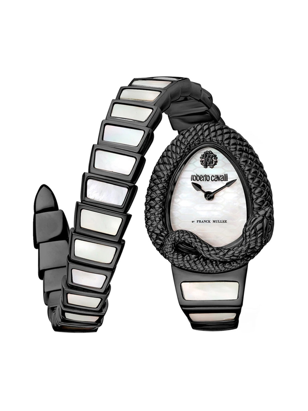 Roberto Cavalli by Franck Muller Women Stainless Steel Straps Analogue Watch RV1L141M0161