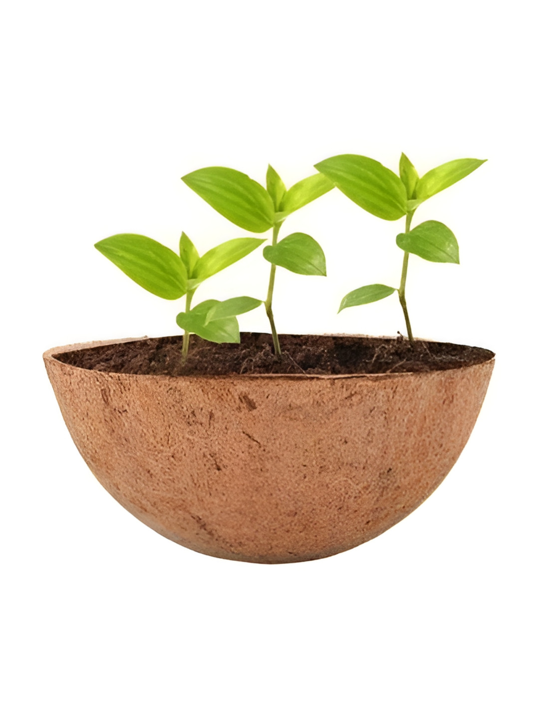 Garden Deco Unisex Brown Round Hanging Basket Garden Accessories