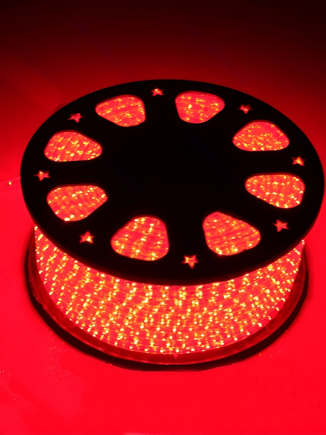 SPARK WORLD Red LED String Lights