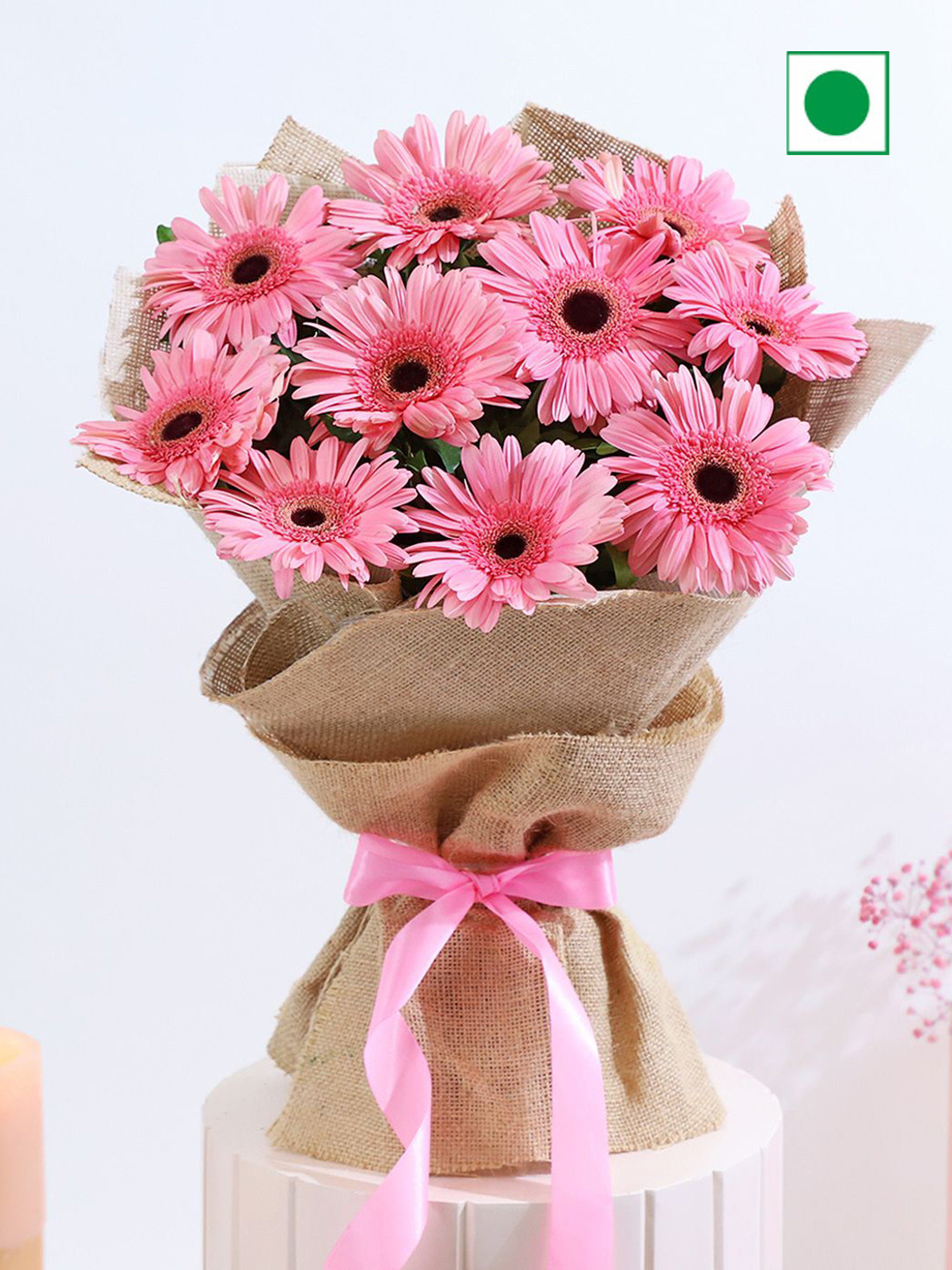IGP Pink Bouquet Of 10 Gerberas