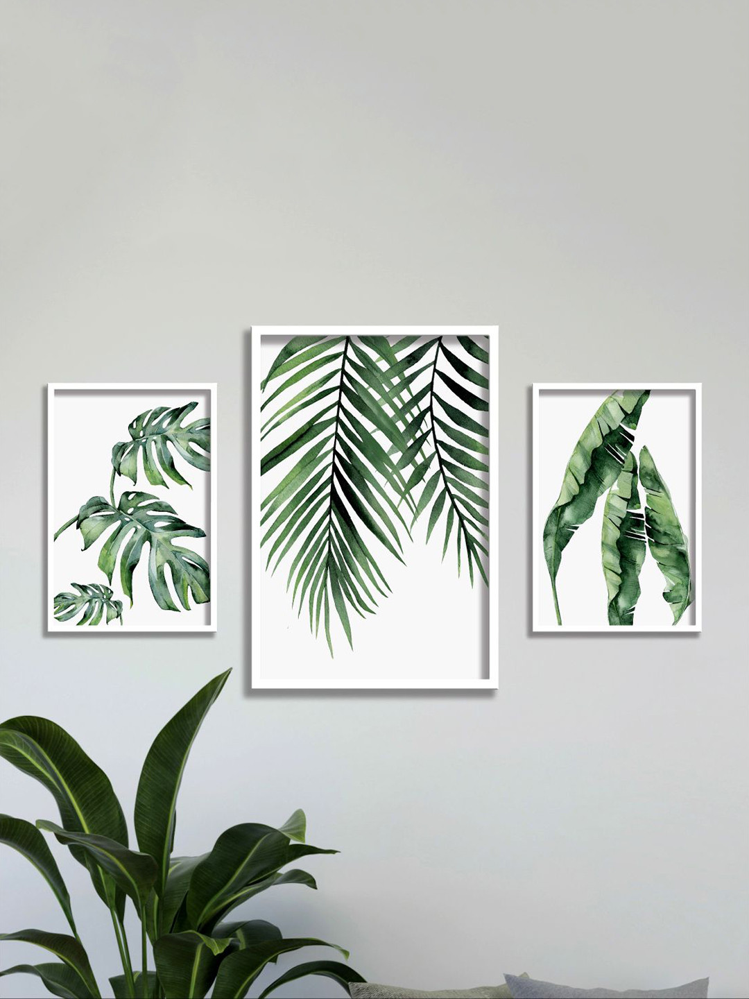 Aura White & Green 3 Piecea Floral and Botanical Wall Painting Art
