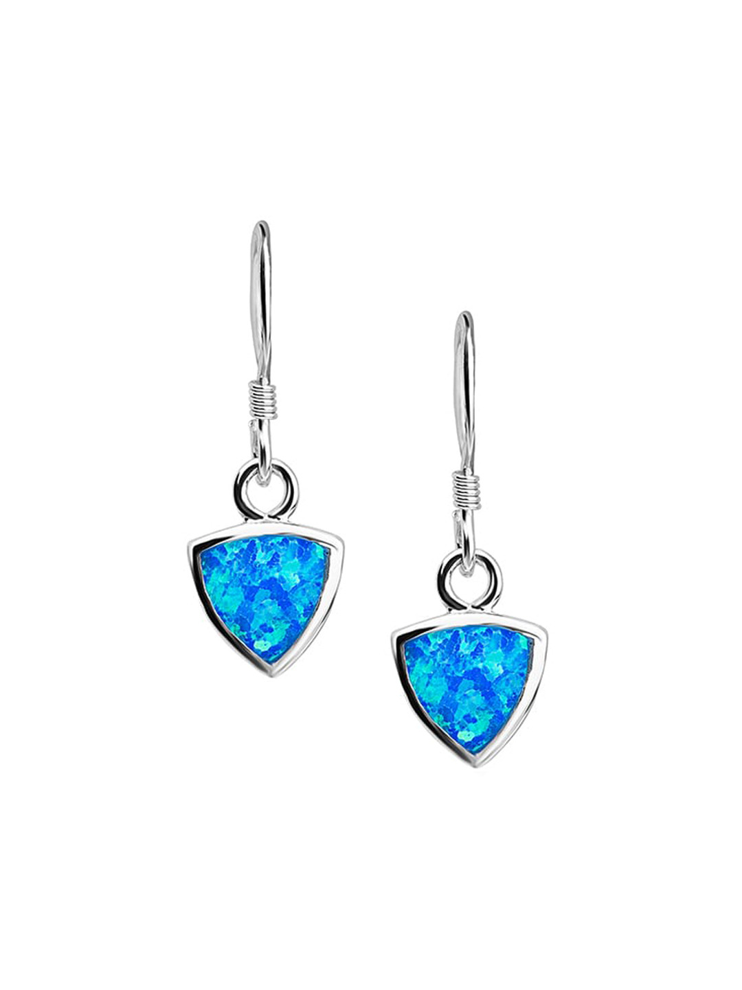 Nistra Women Triangular Drop Earrings