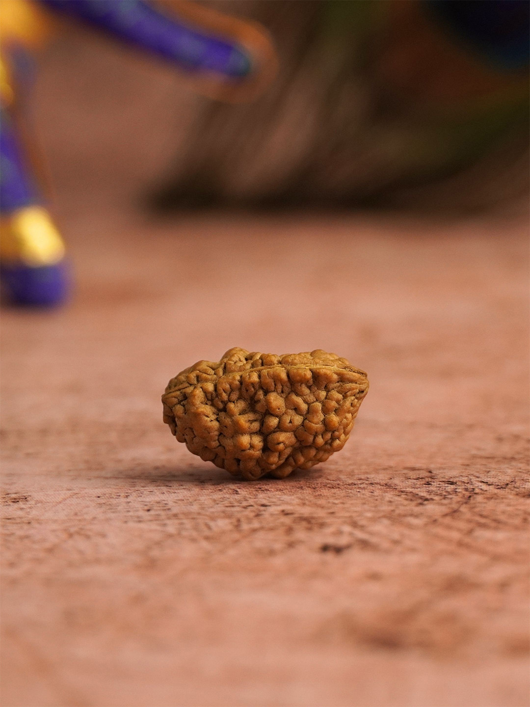 Japam Unisex 1 Mukhi Nepali Rudraksha