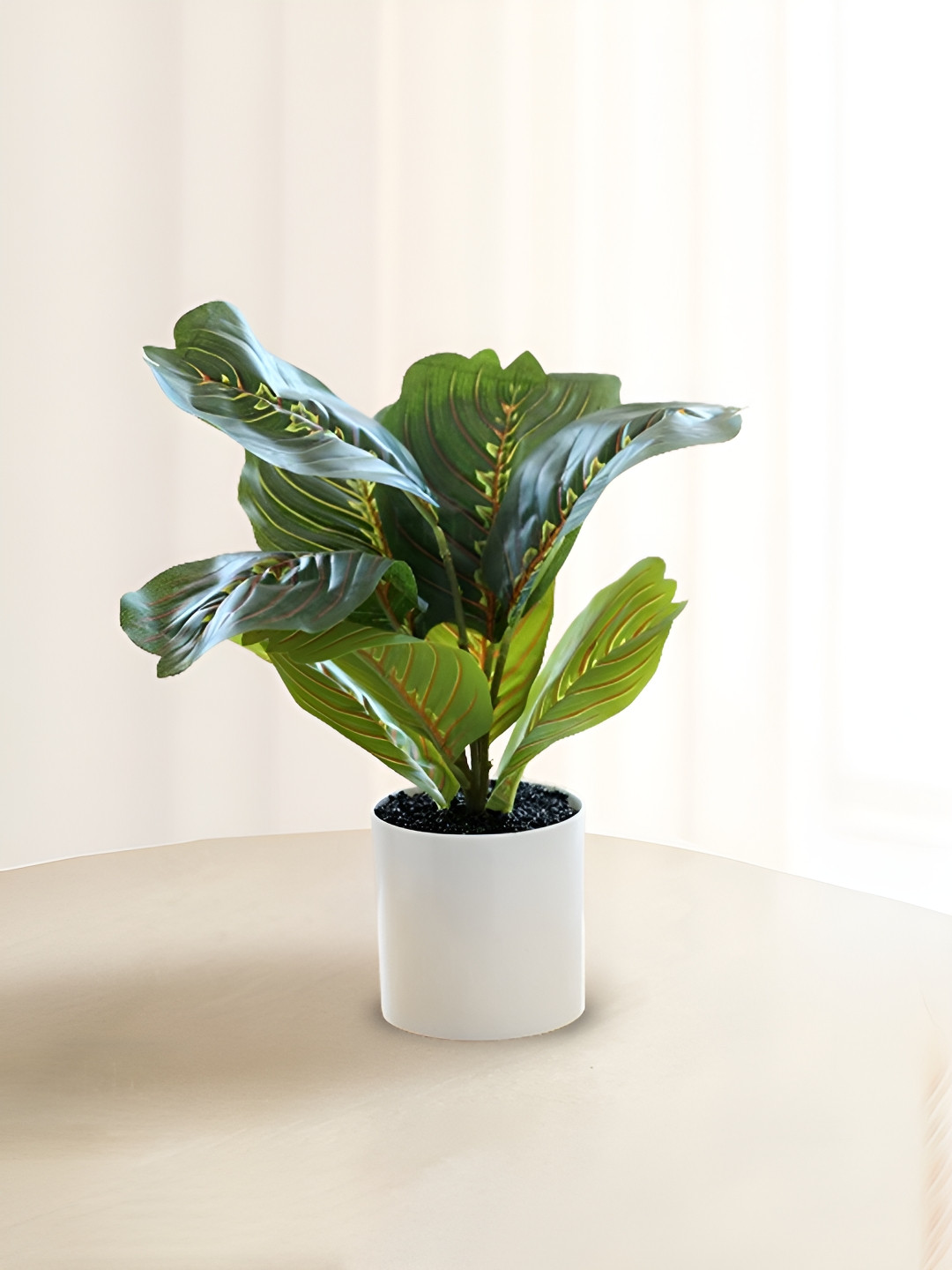 Nostrae by Ekhasa Green 1 Pieces Ficus Artificial Plant With Pot