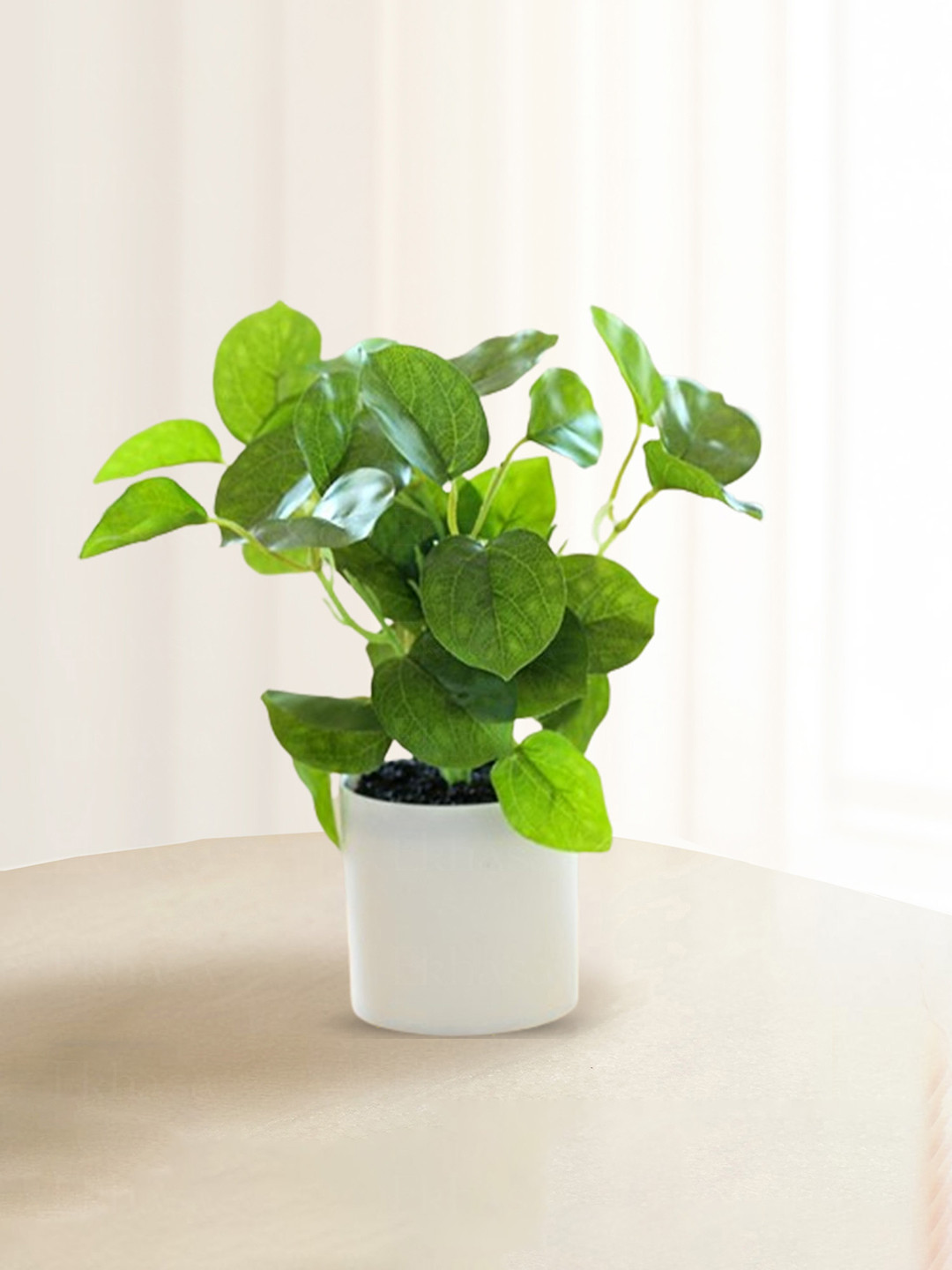 Nostrae by Ekhasa Green 1 Pieces Fig Artificial Plant With Pot