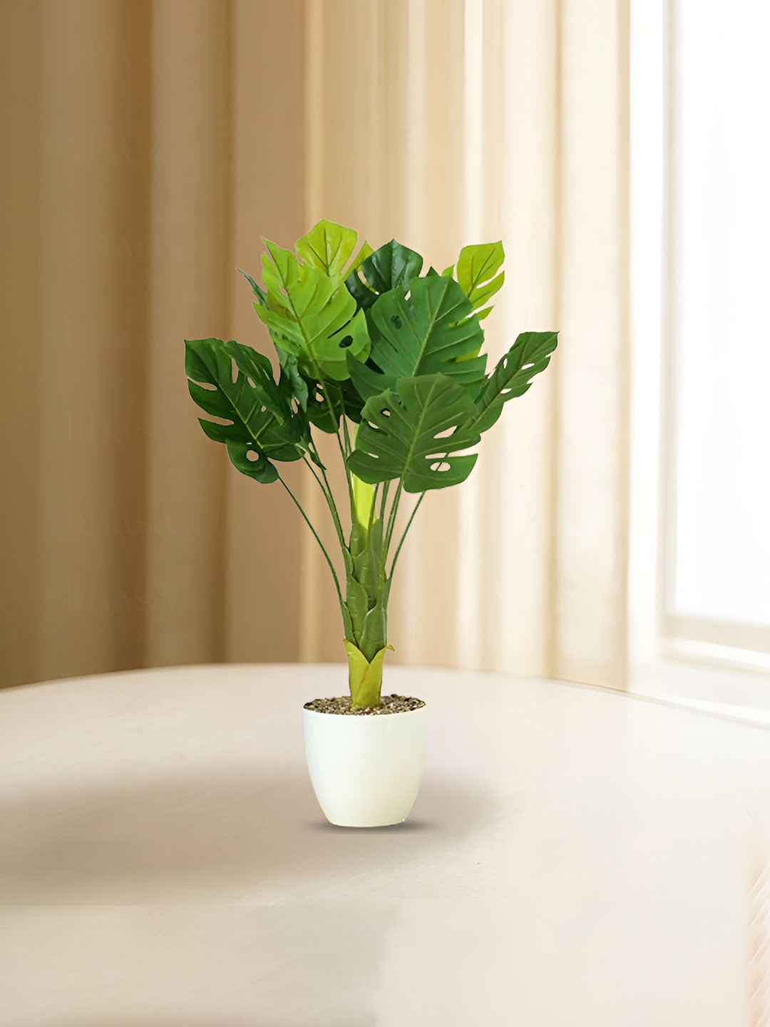 Nostrae by Ekhasa Green 1 Pieces Fig Artificial Plant With Pot