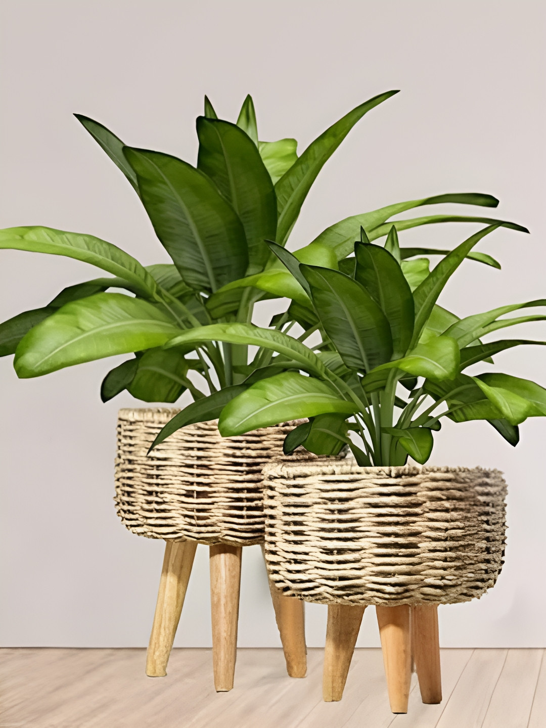 The Advitya Set Of 2 Medium & Large Jute Planters