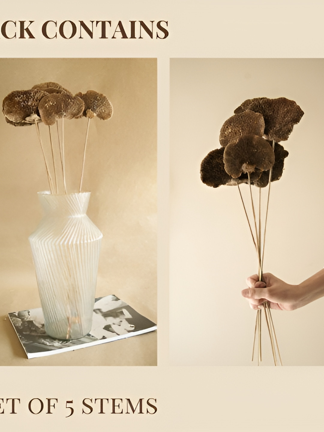 ArteCasa Beige 5 Pieces Morning Glory Artificial Flower