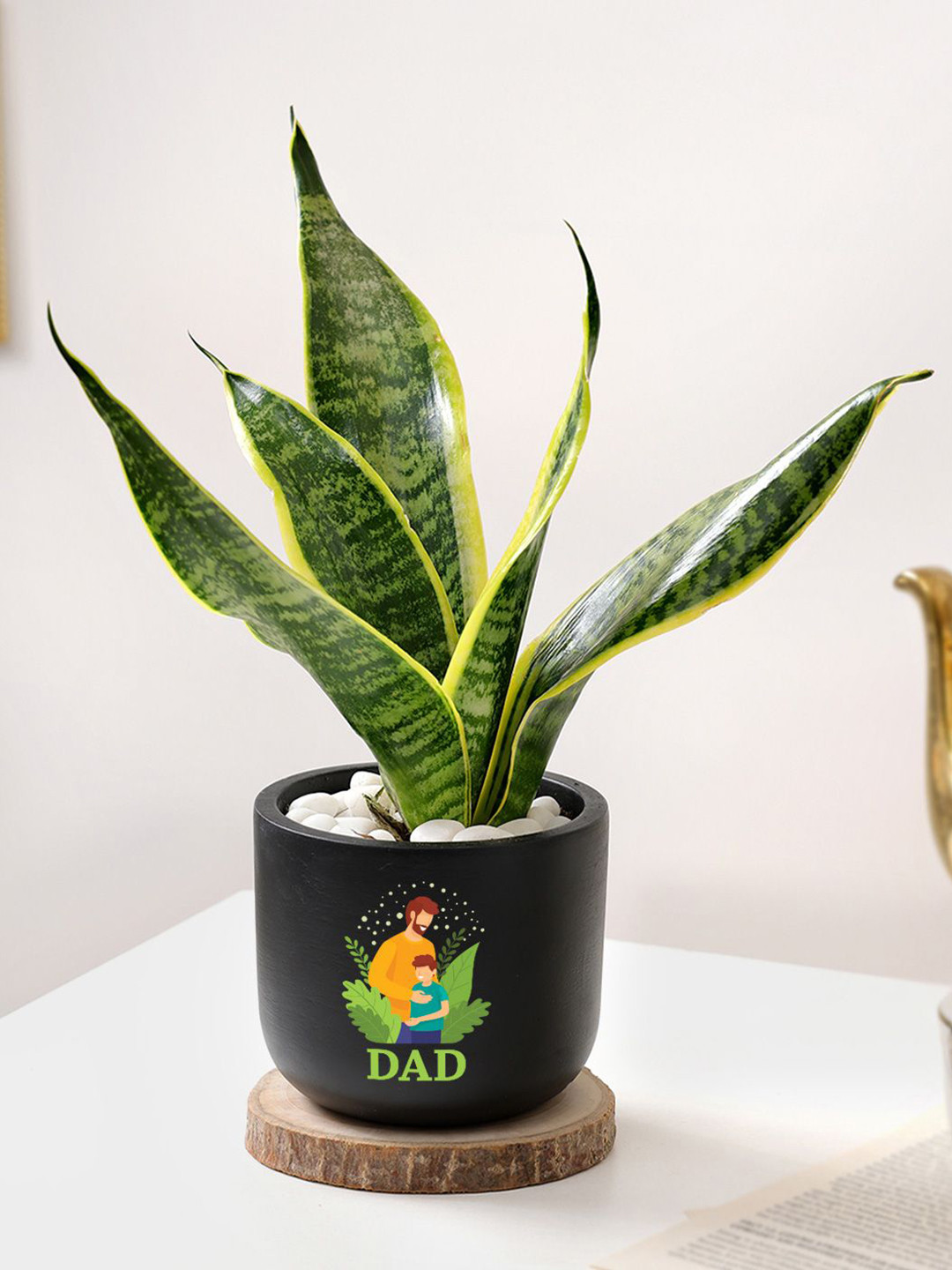 IGP Father's Day Snake Plant In Black Planter