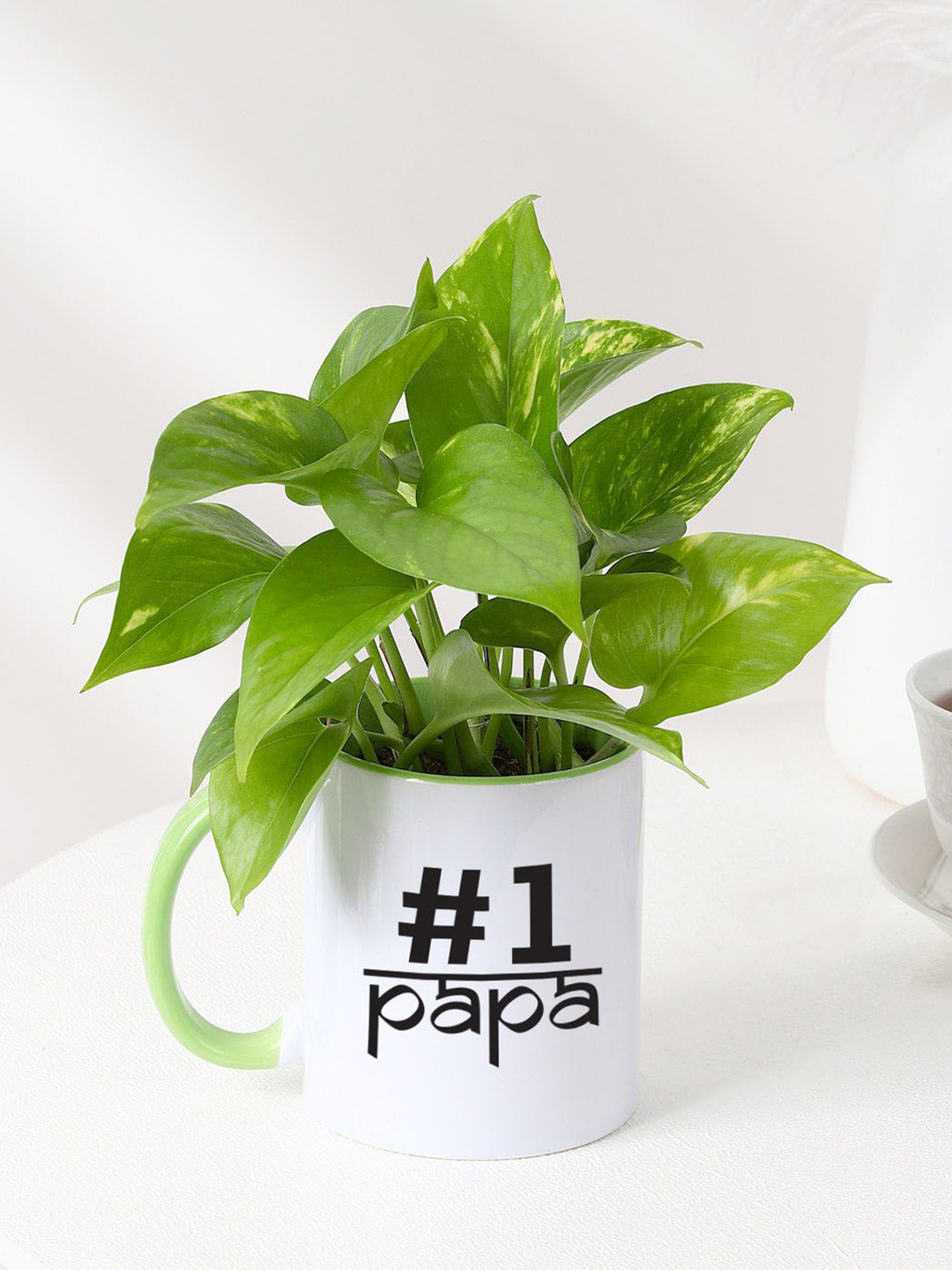 IGP Green Money Plant With Mug