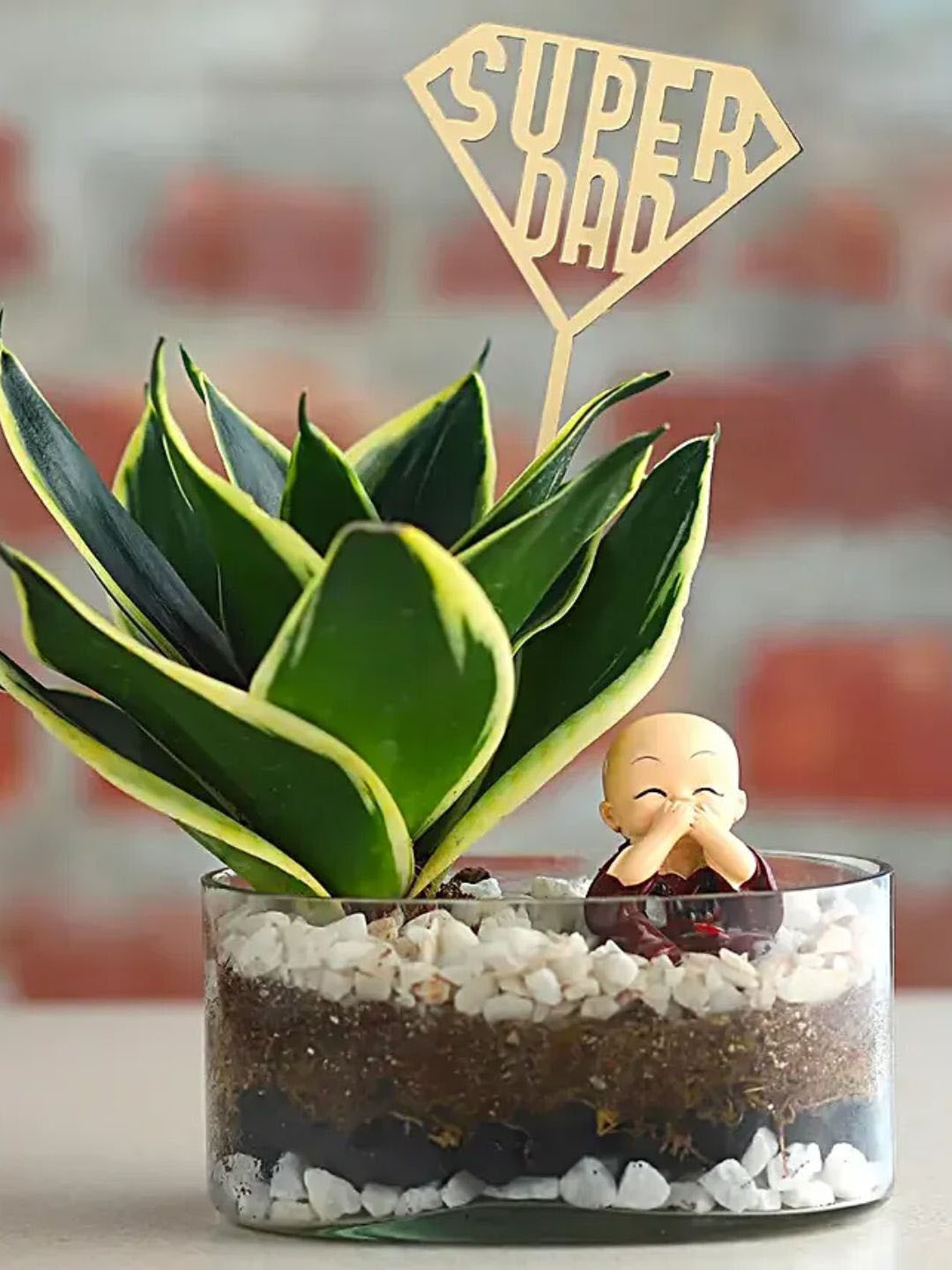 fnp Milt Sanseveria Green Live Plant