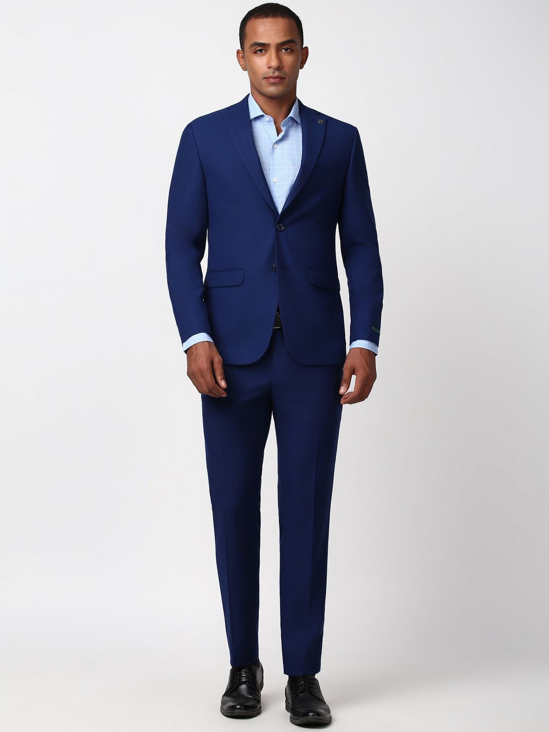 Peter England Elite Men Single-Breasted 2-Piece Formal Suits