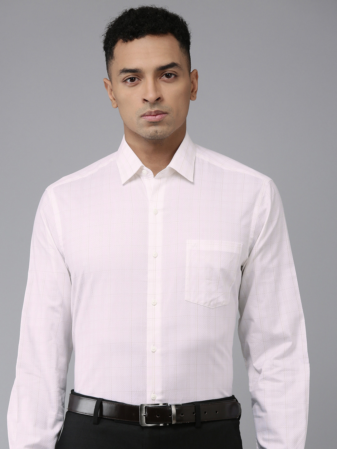 Arrow  Pure Cotton Manhattan Slim Fit Opaque Checked Formal Shirt