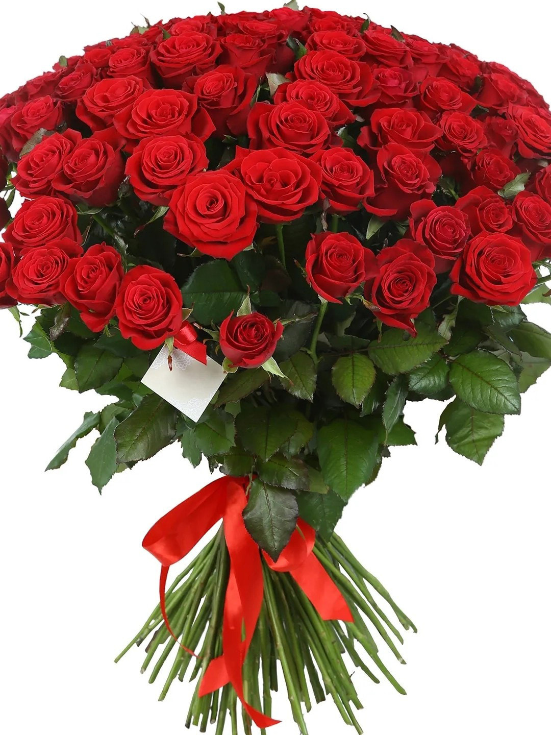 fnp Red 50Pc Scarlet Rose Fantasy Bouquet