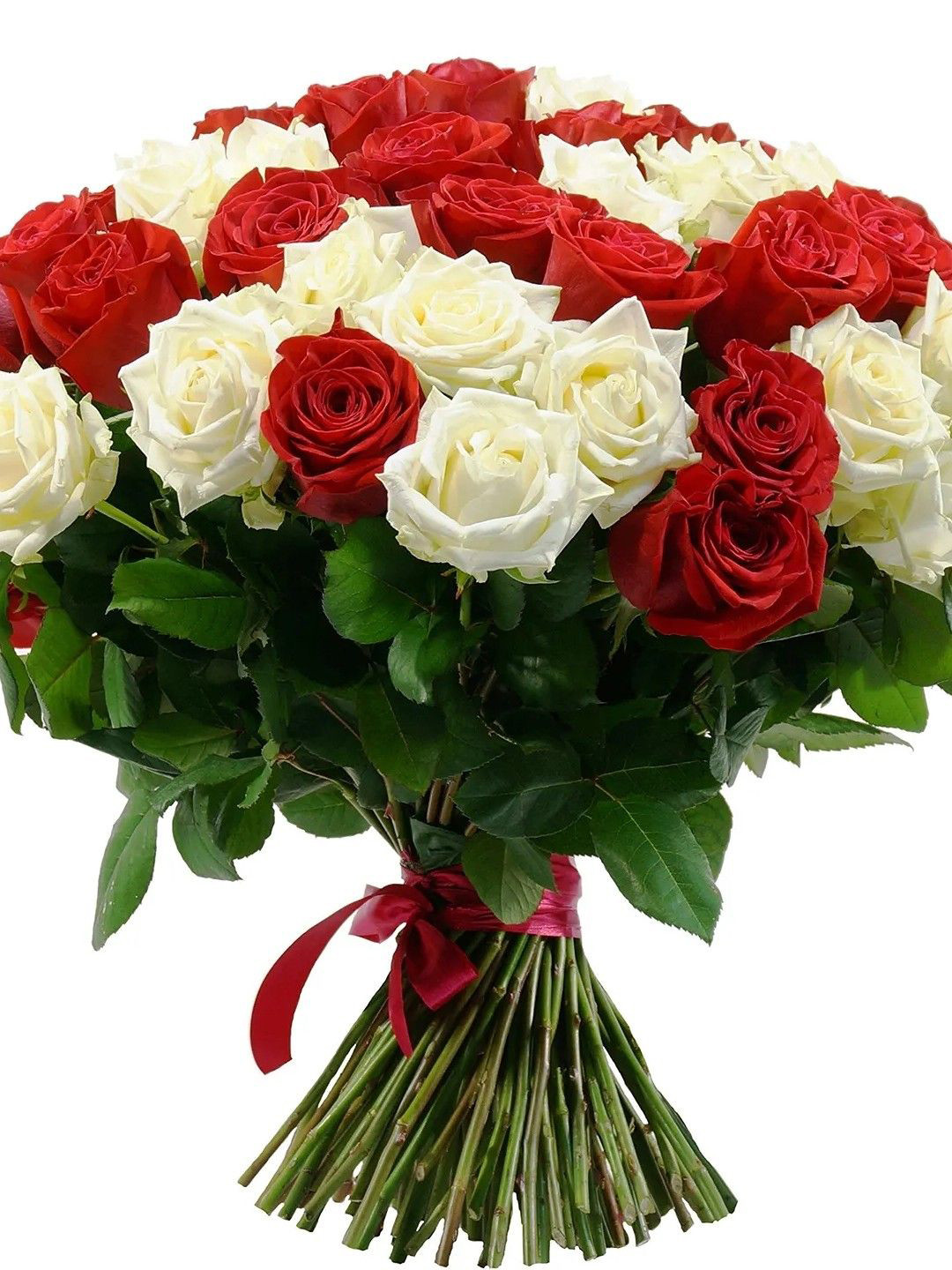 fnp Red & White 40 Pieces Roses Fresh Flowers Bouquet