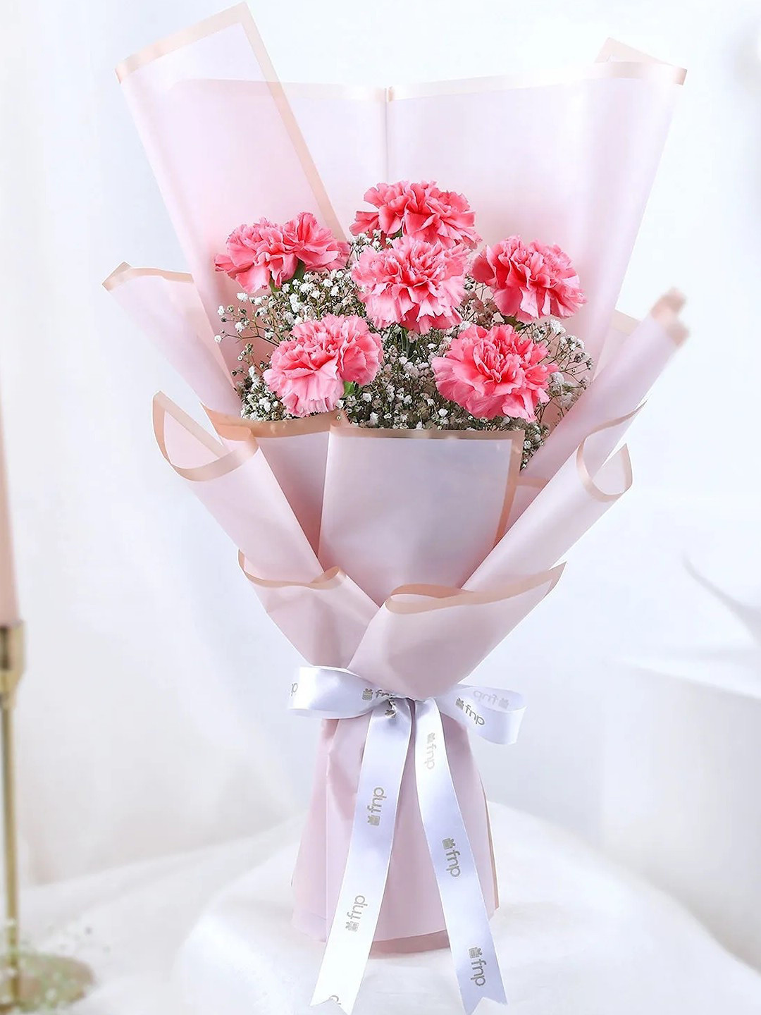 fnp Pink 6-Pcs Carnations Fresh Flowers Bouquet