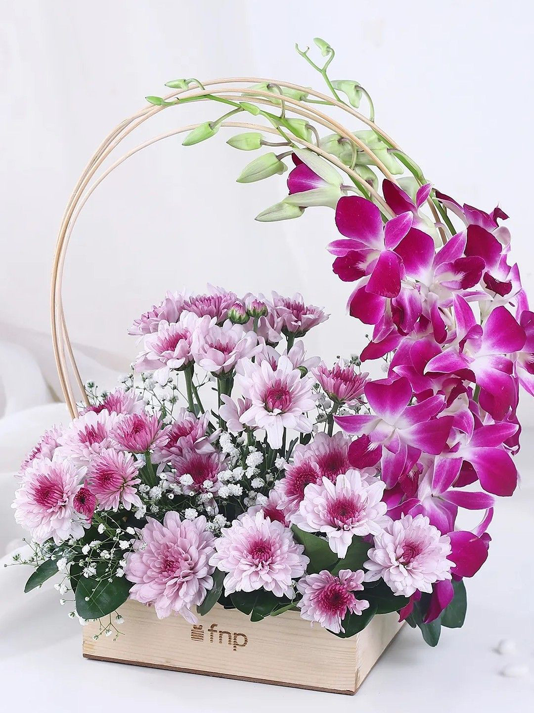 fnp Purple & Green 8 Pieces Orchids & Daisy With White Gypsy Fresh Flowers