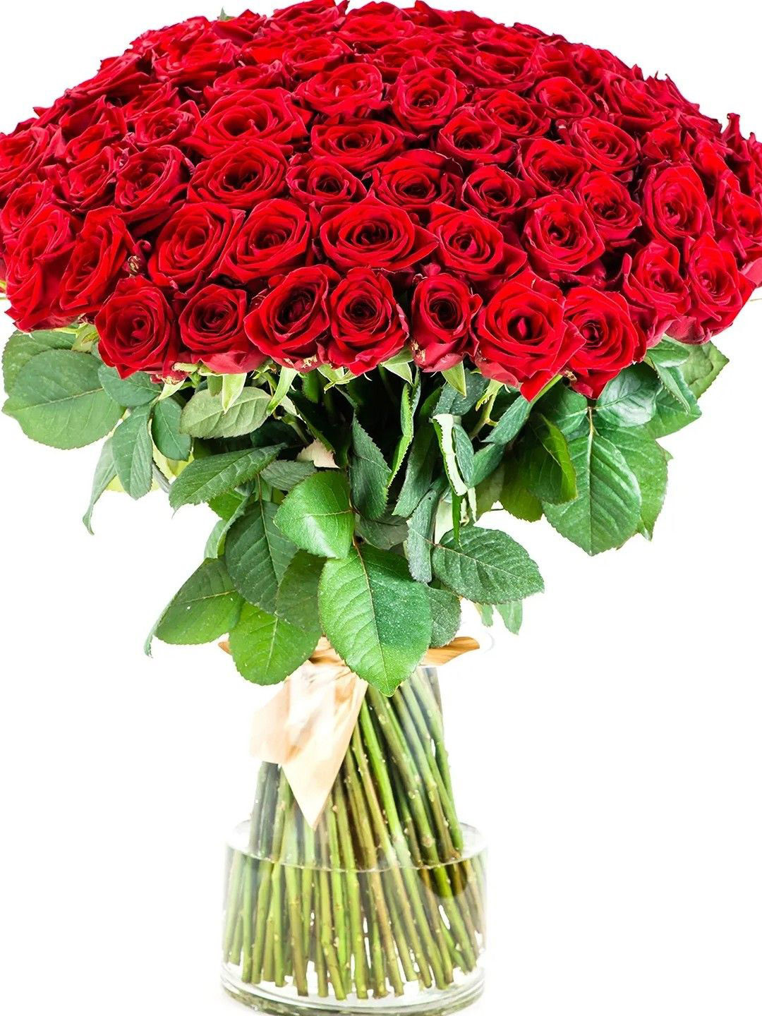 fnp Red & Green 75 Pieces Roses Fresh Flowers In Glass Vase