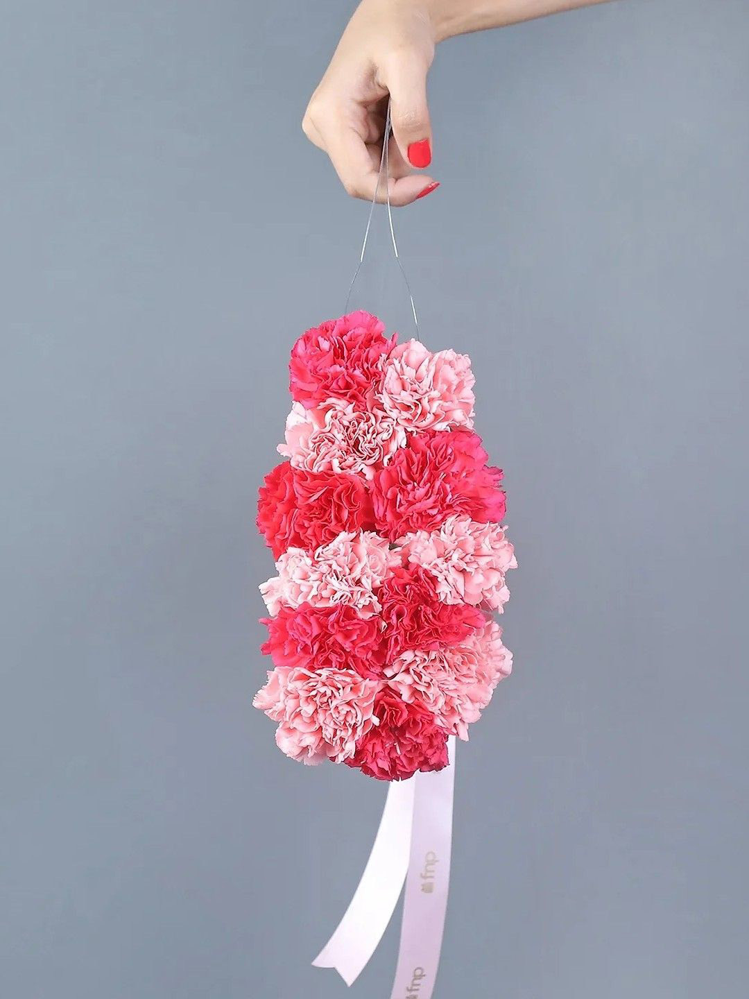 fnp Red & Pink 12-Pcs Carnations Fresh Flowers Bouquet