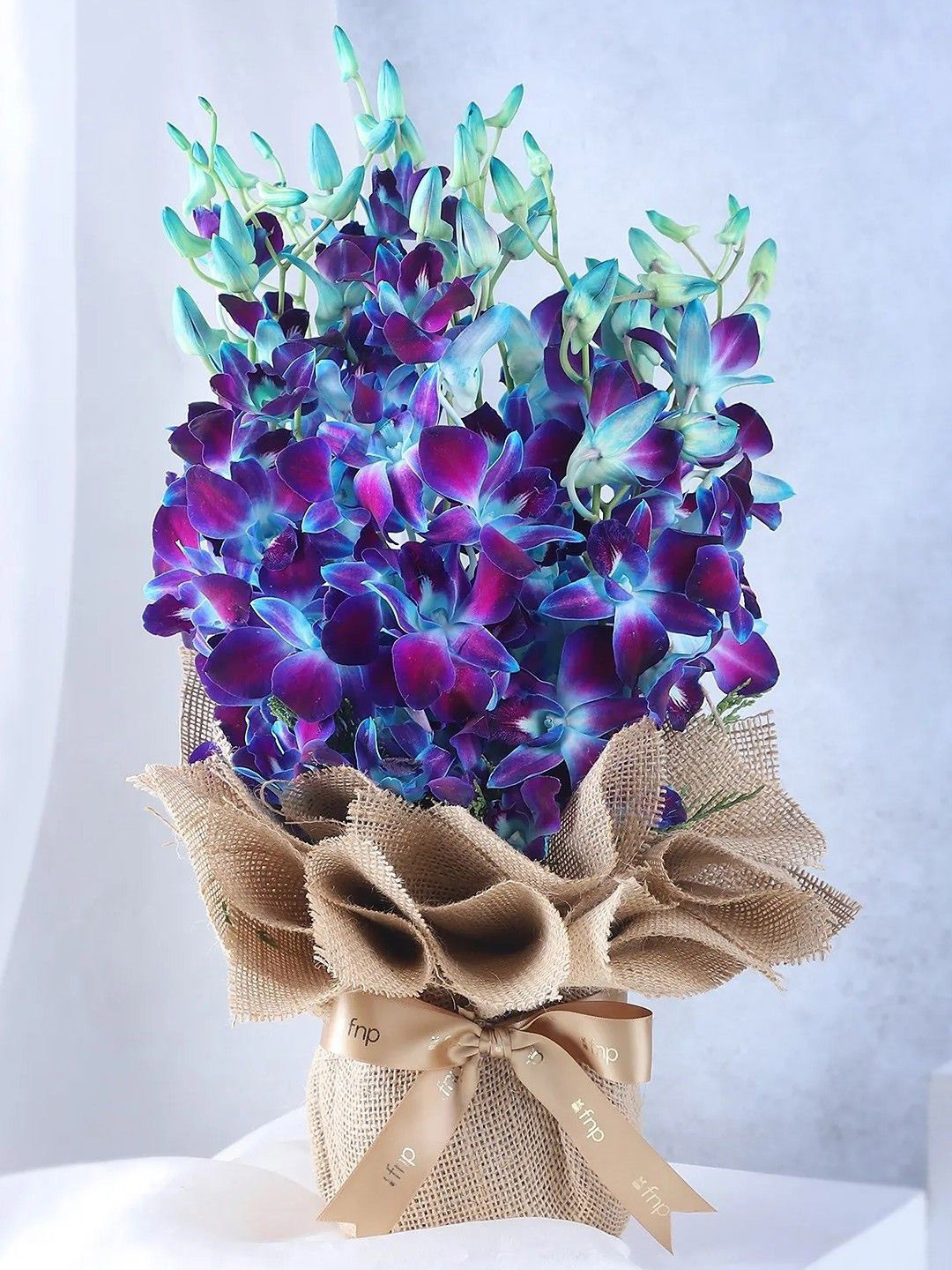 fnp Blue & Green 10 Pieces Orchids Fresh Flowers Vase
