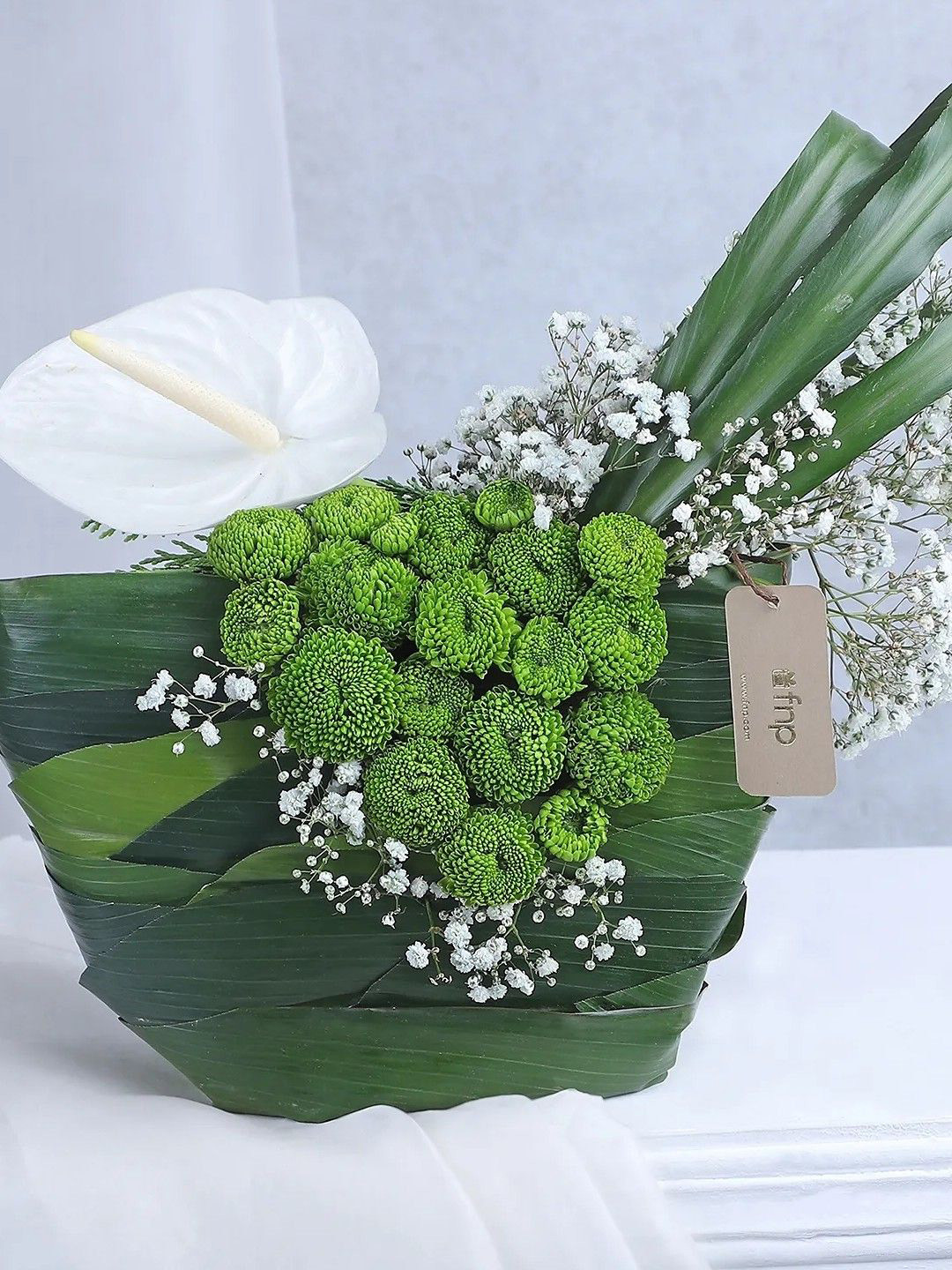 fnp Green & White Anthurium Fresh Flowers Bouquet
