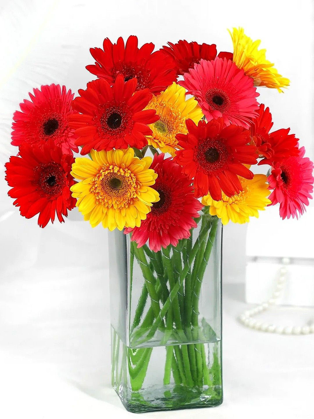 fnp Yellow & Red 15 Pieces Gerberas Fresh Flowers Vase