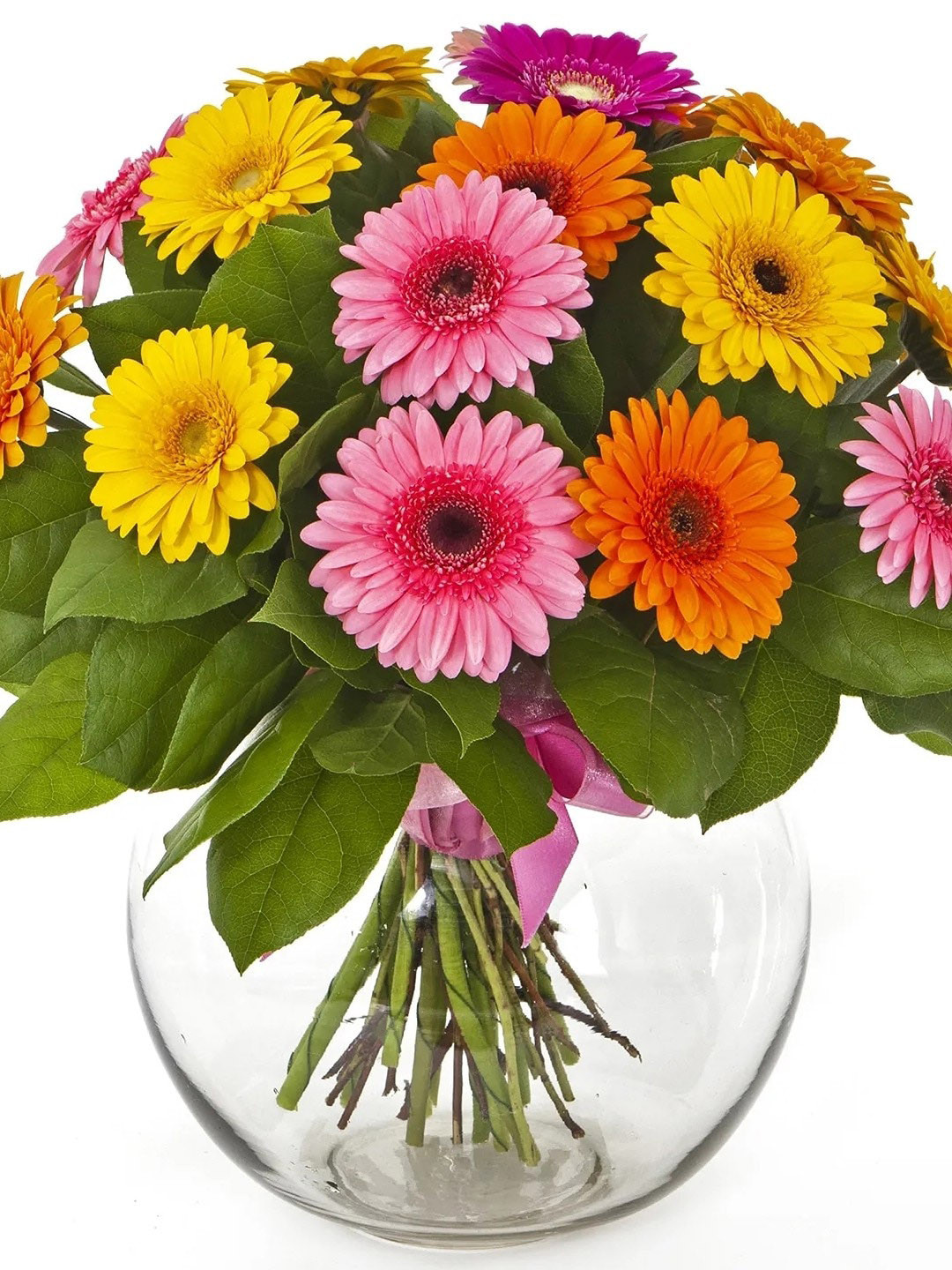 fnp Pink 18Pc Gerberas Flower Bouquet